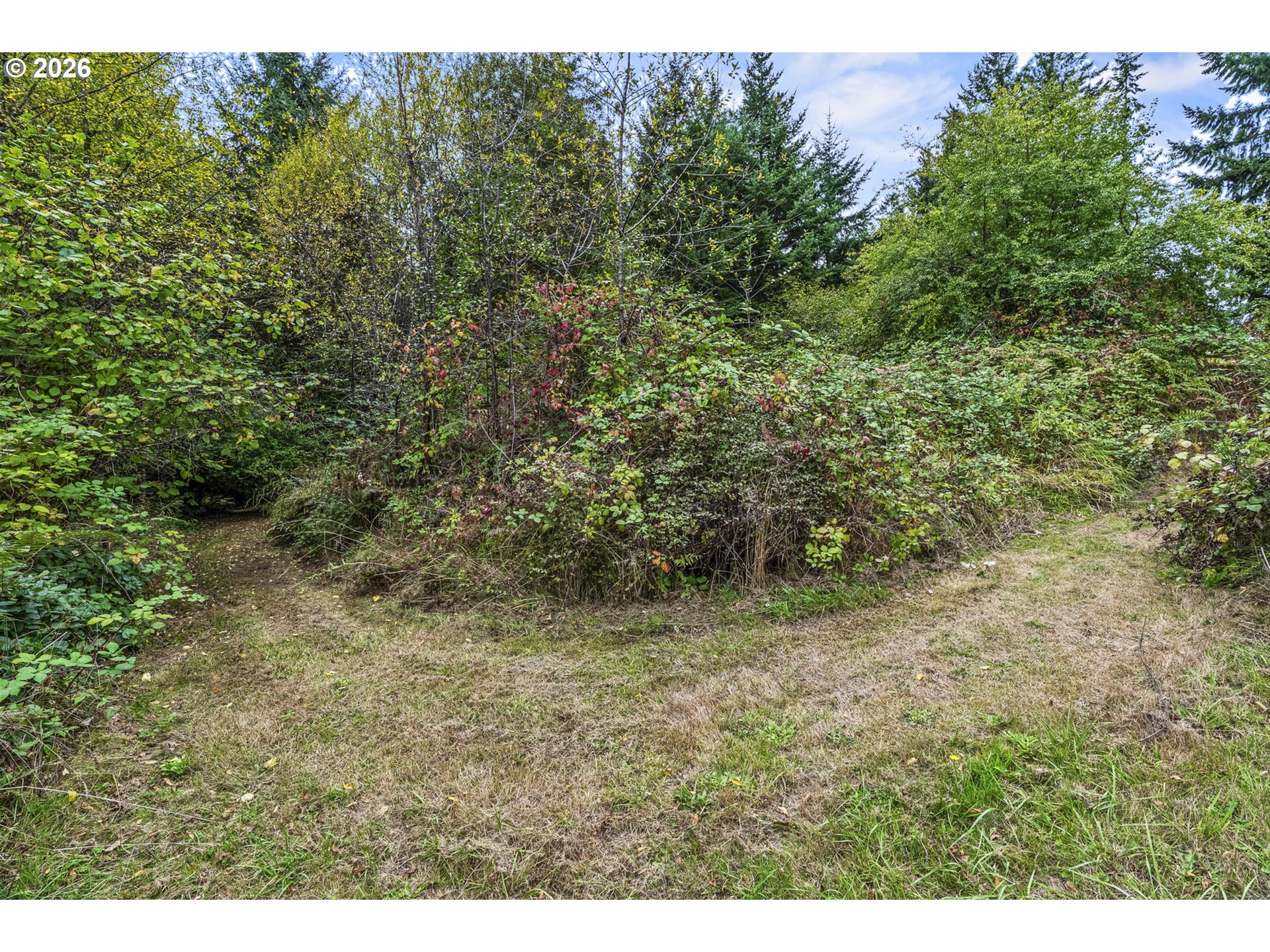 69865 Walker Rd Property Photo 24