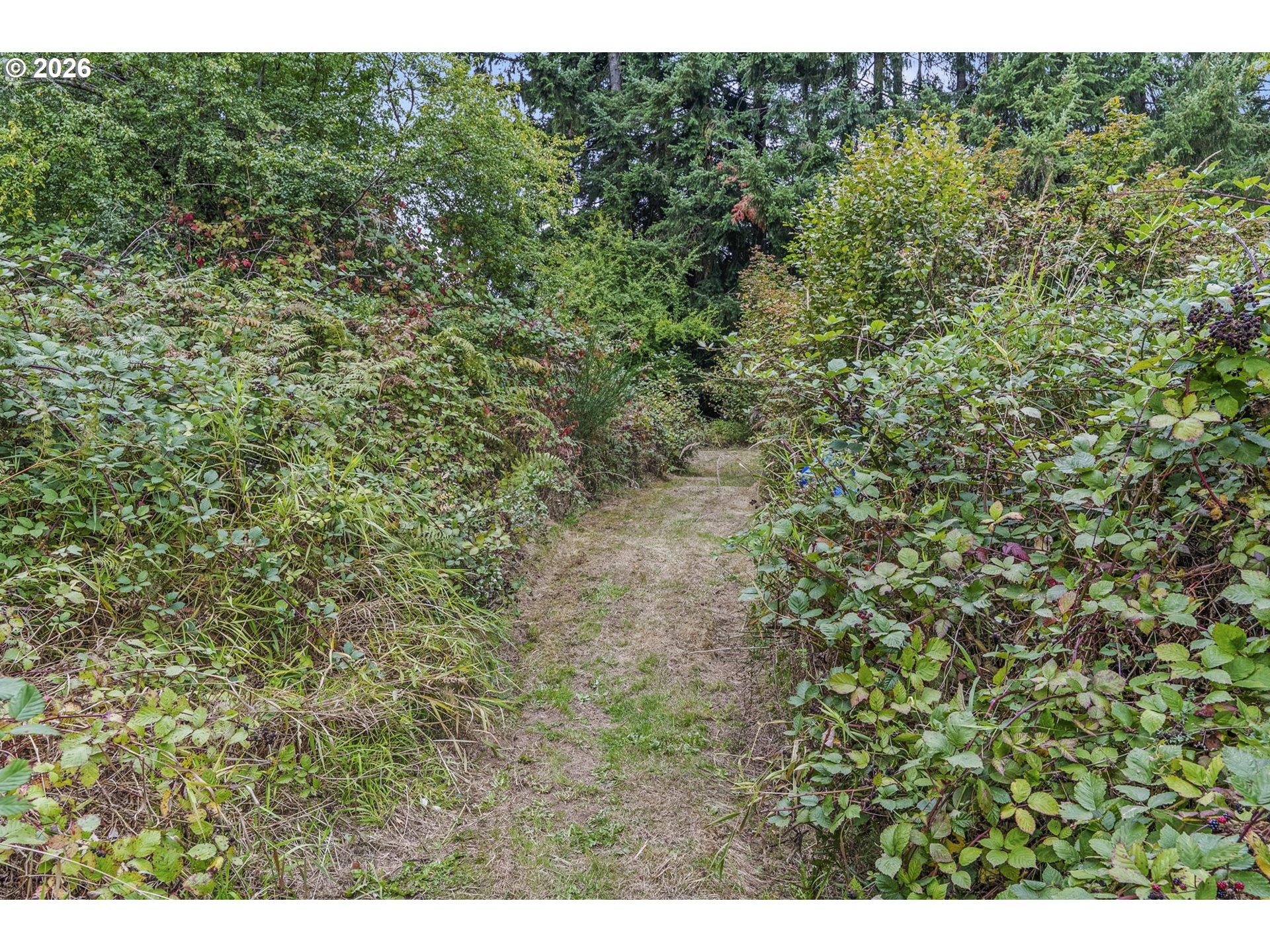 69865 Walker Rd Property Photo 25