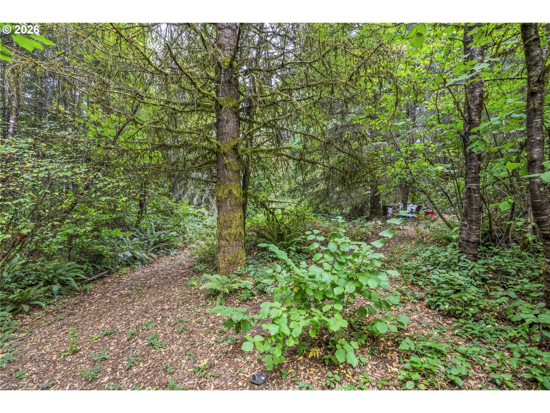 69865 Walker Rd Property Photo 26