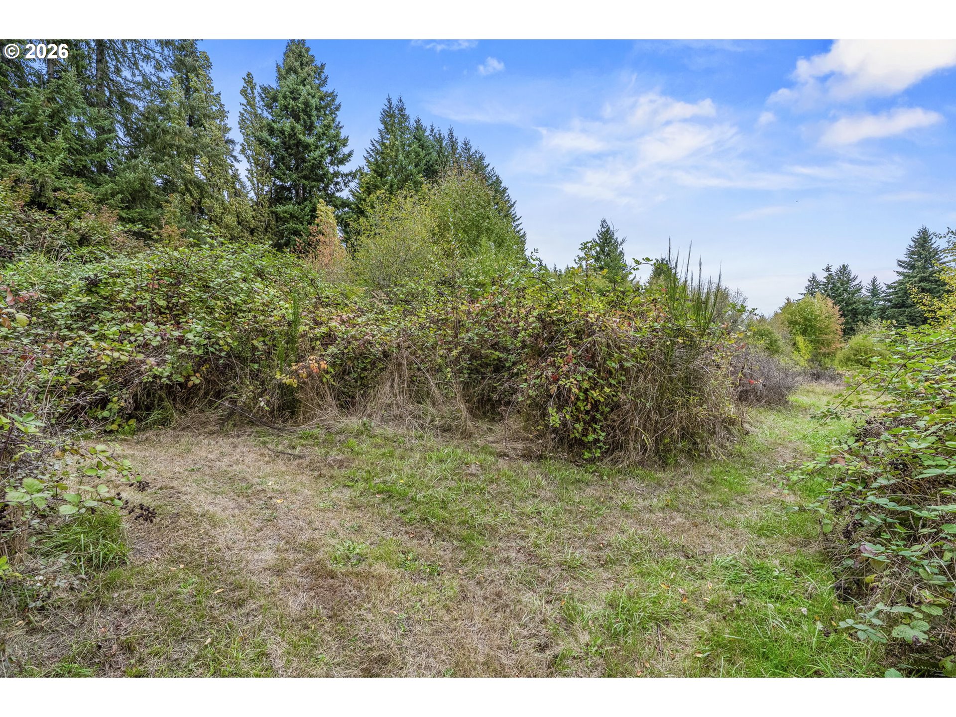 69865 Walker Rd Property Photo 27