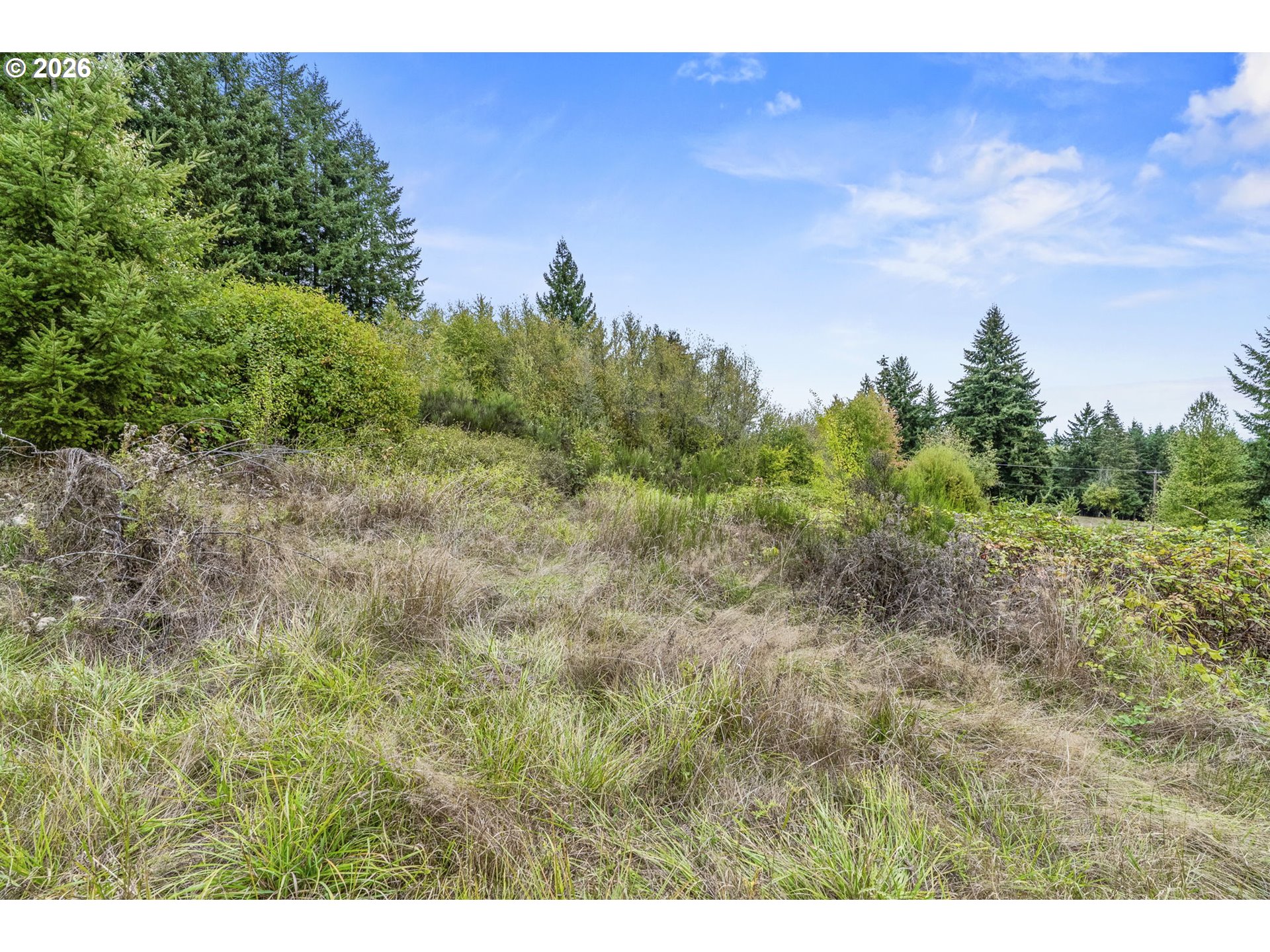 69865 Walker Rd Property Photo 28