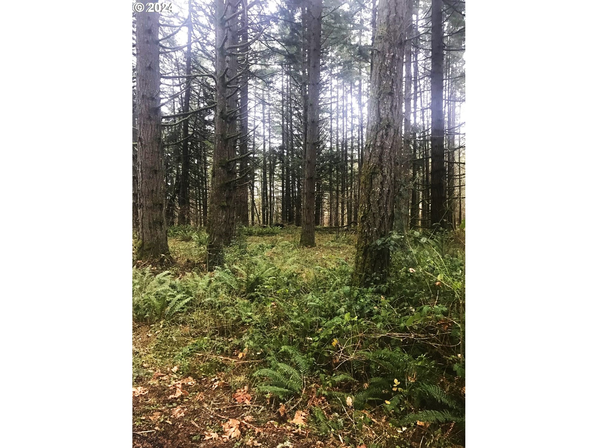 Unassigned Property Photo 2