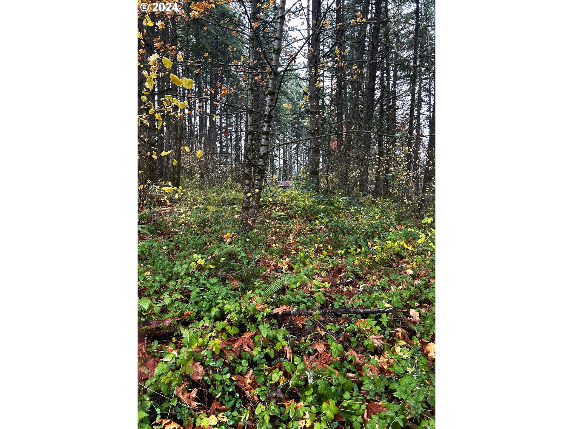 Unassigned Property Photo 3