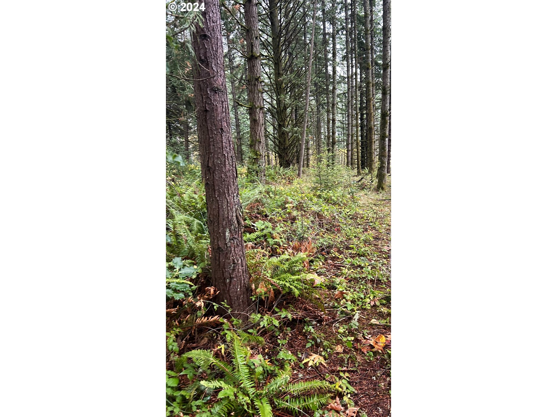 Unassigned Property Photo 4