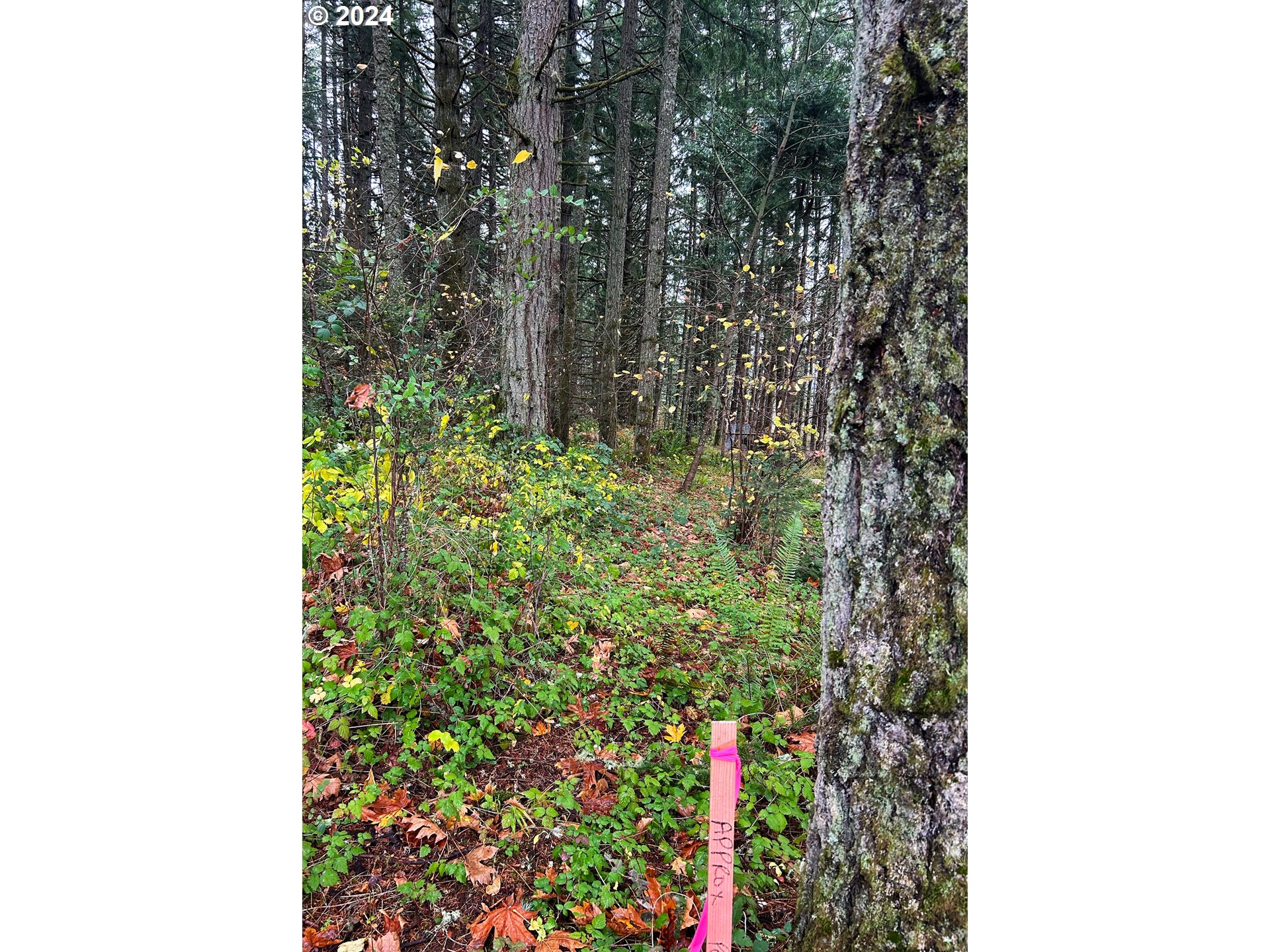 Unassigned Property Photo 5
