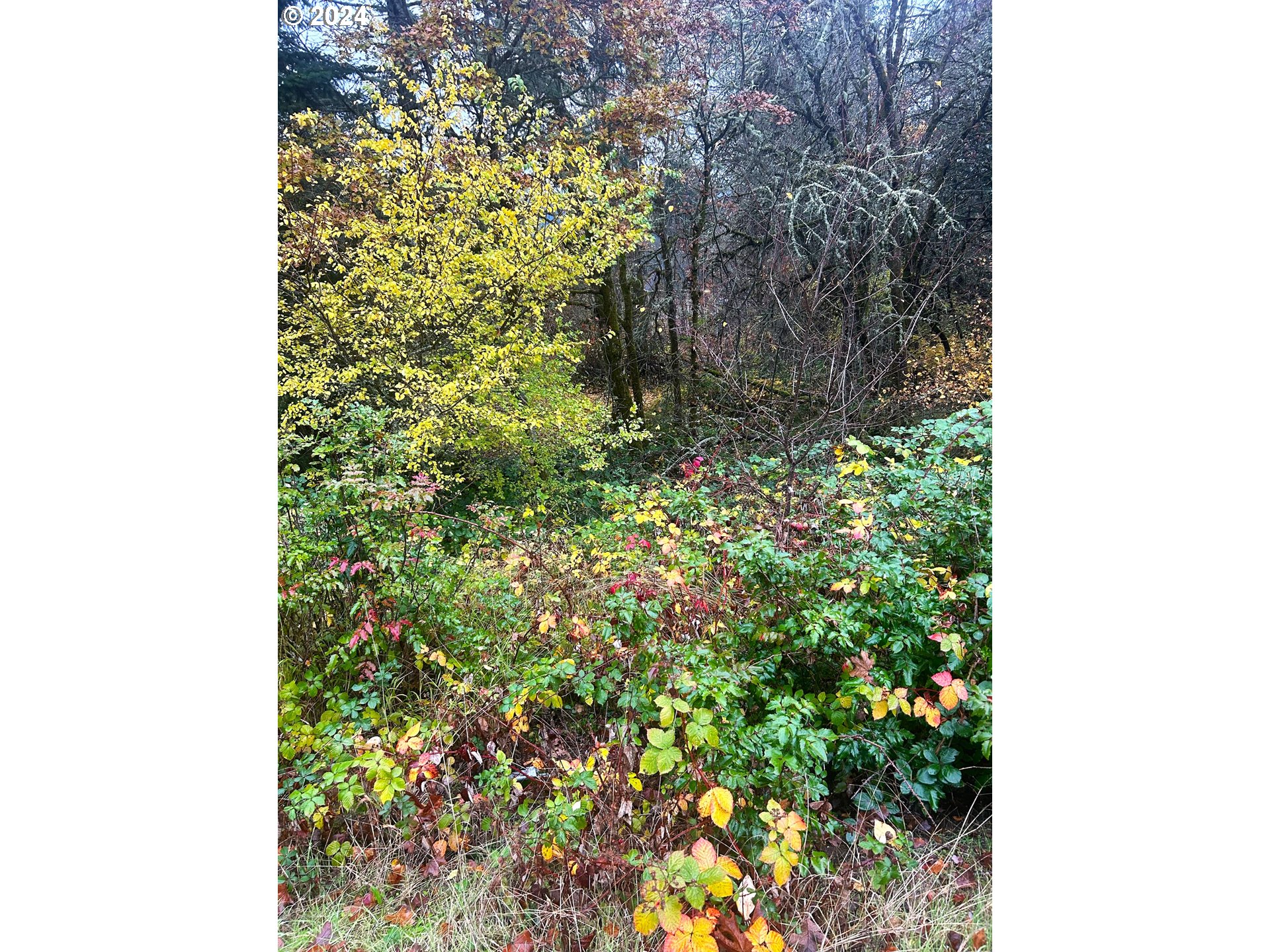 Unassigned Property Photo 6