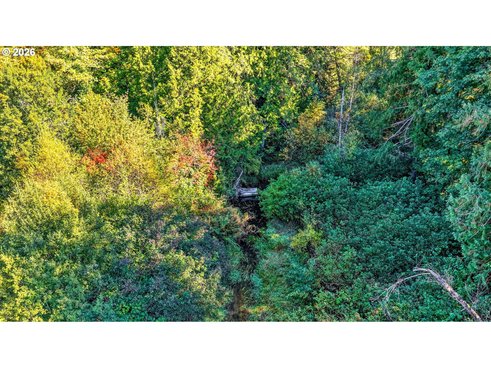 18370 S Old Clarke Rd Property Photo 23