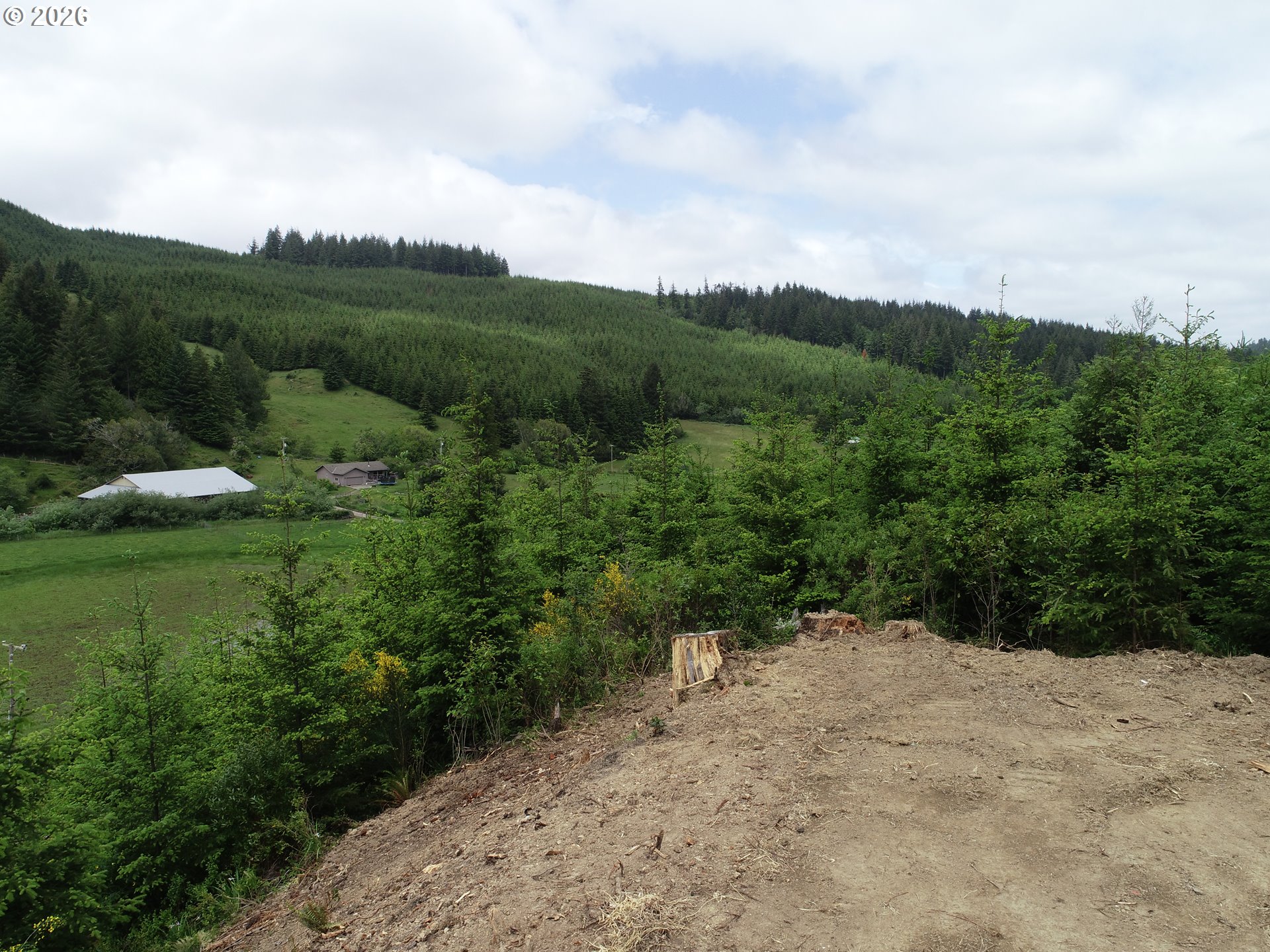 Bear Creek Property Photo 5