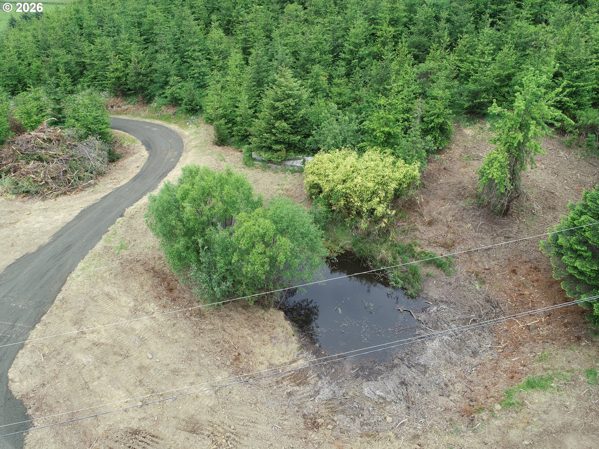 Bear Creek Property Photo 6