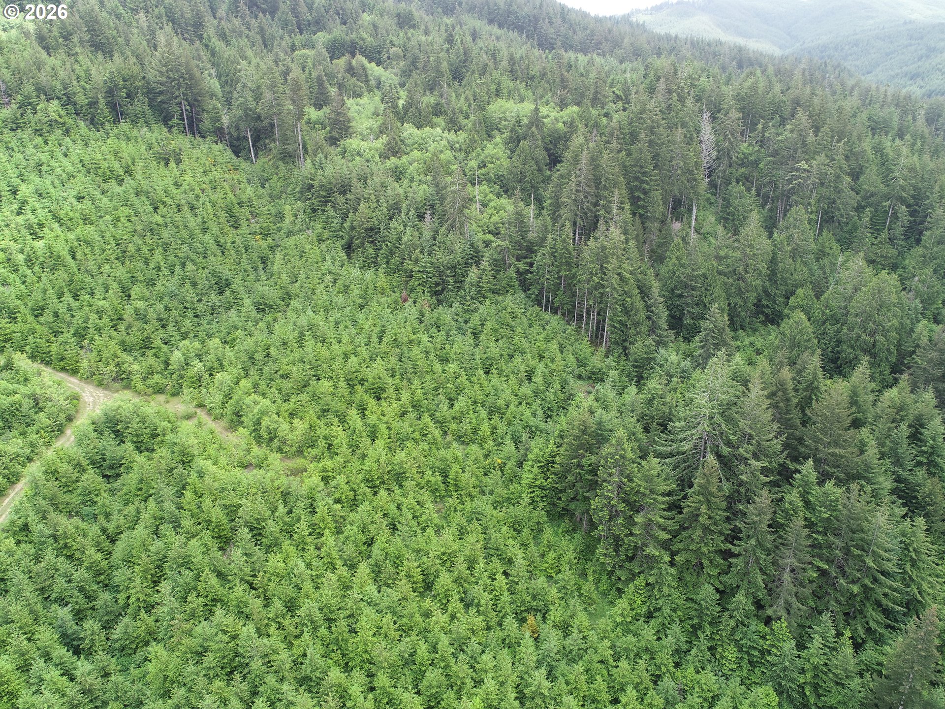 Bear Creek Property Photo 9