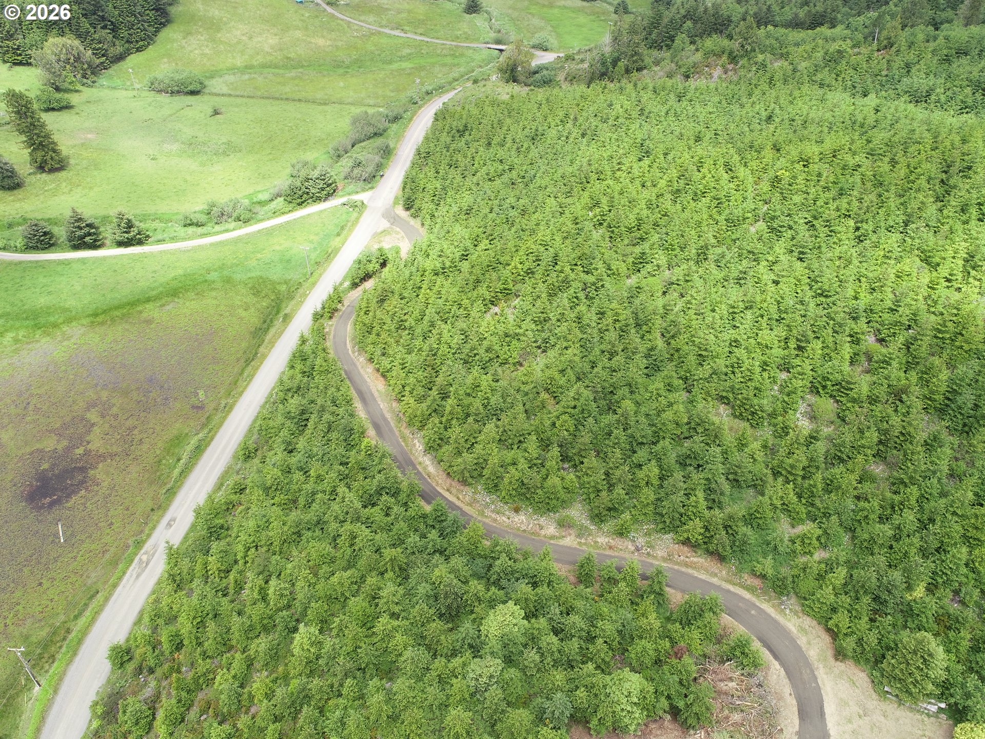 Bear Creek Property Photo 10
