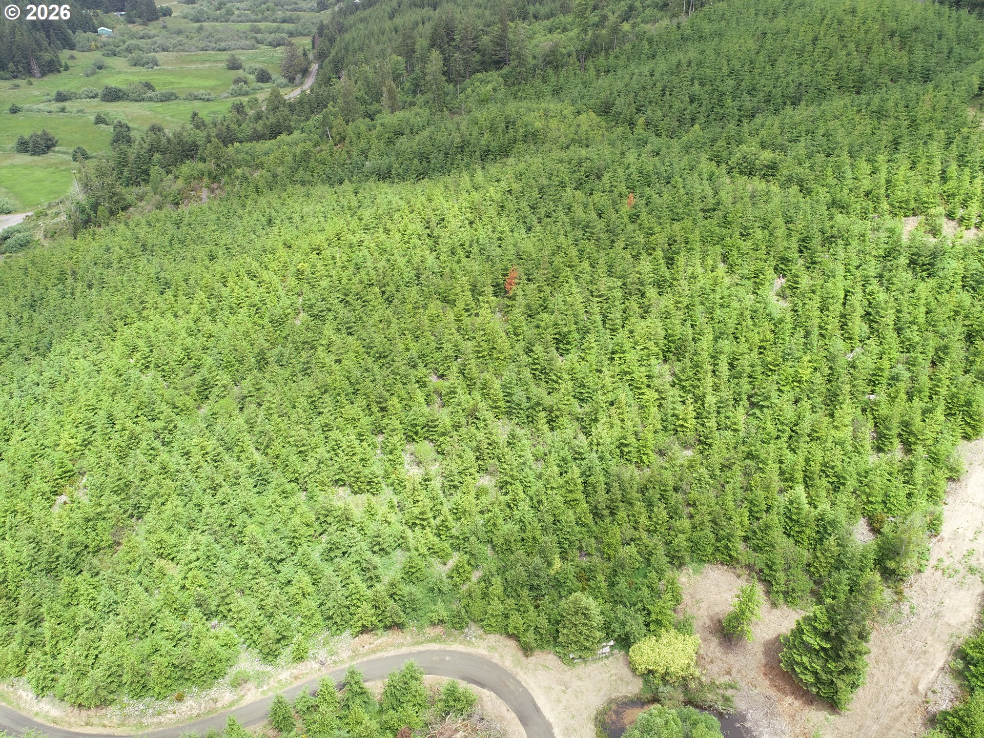 Bear Creek Property Photo 11