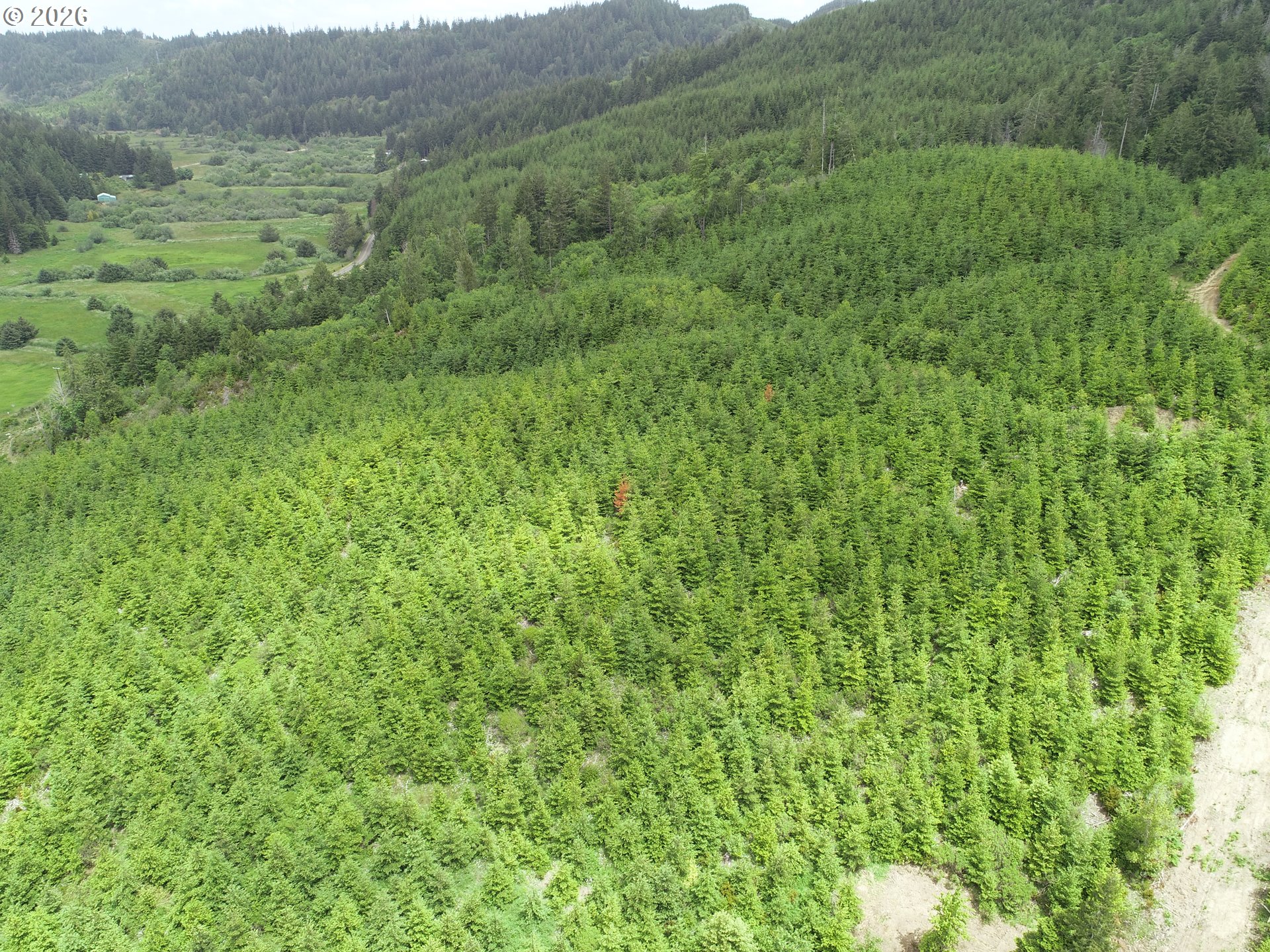 Bear Creek Property Photo 12