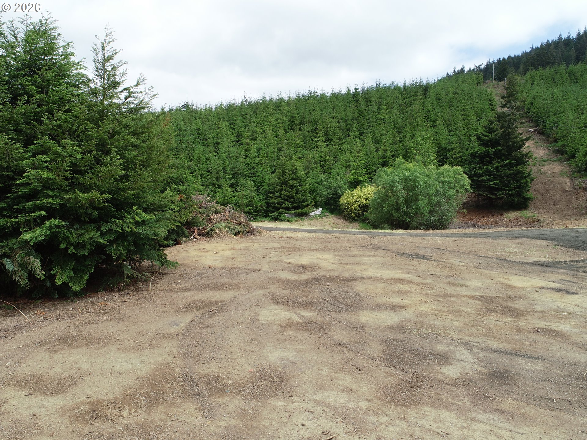 Bear Creek Property Photo 14