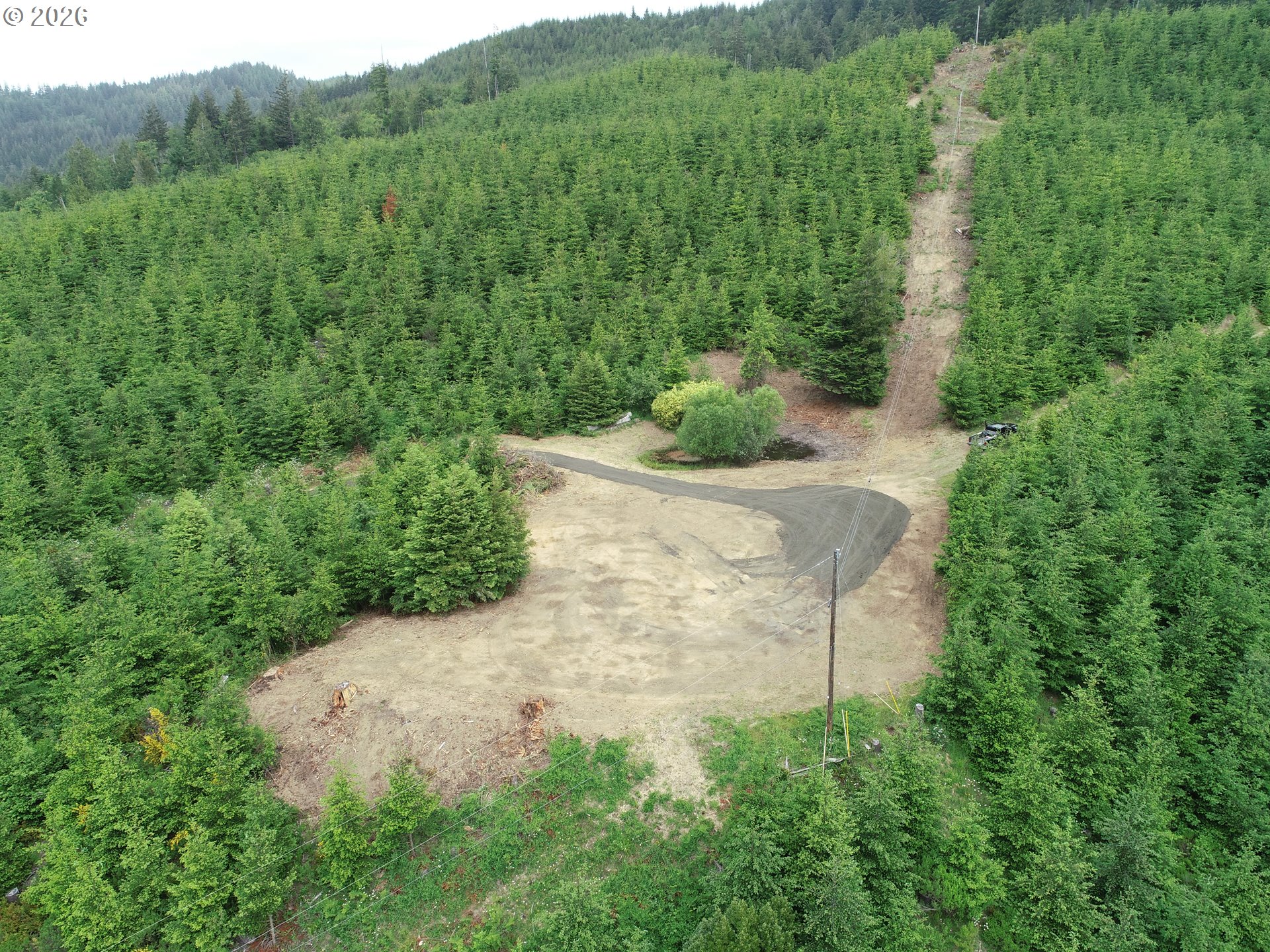 Bear Creek Property Photo 15
