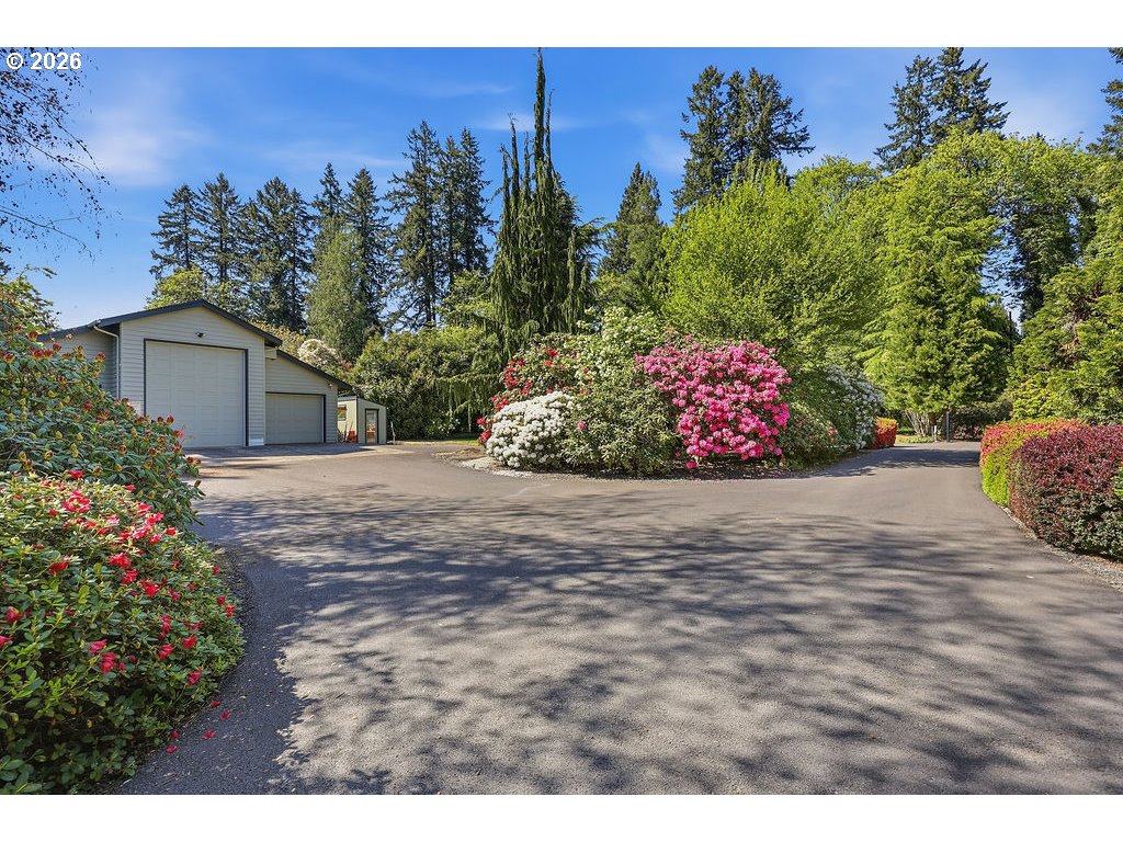 42000 Holden Creek Ln Property Photo 6