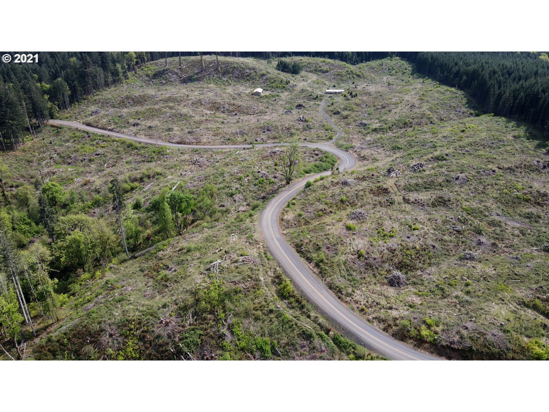 41116 Rodgers Mountain Loop Property Photo 3