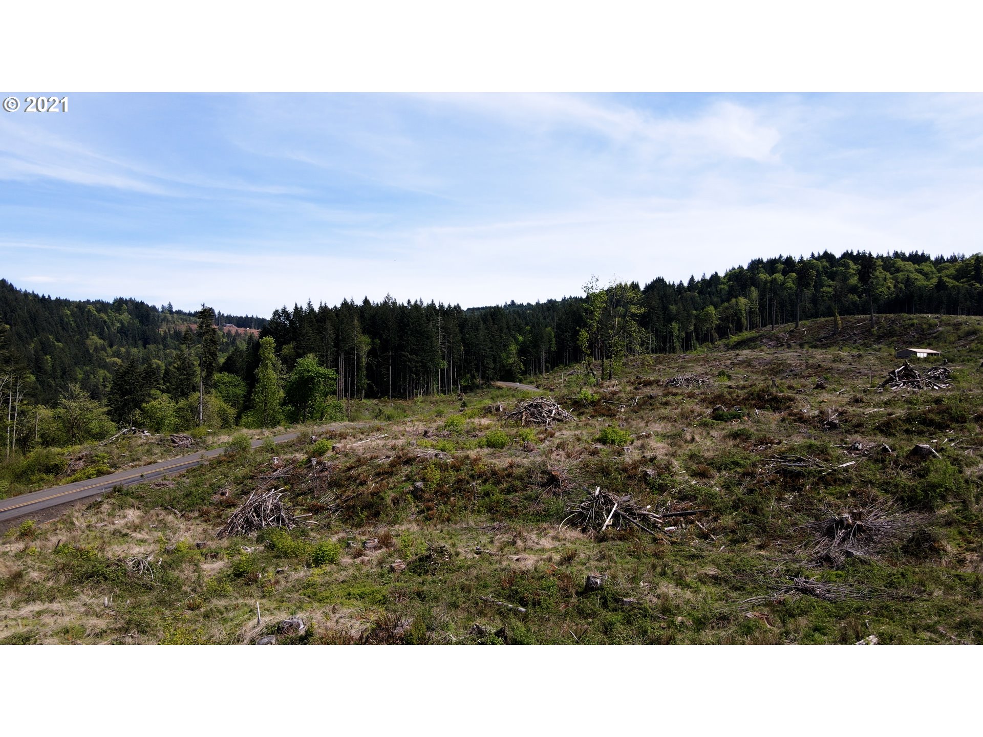 41116 Rodgers Mountain Loop Property Photo 4