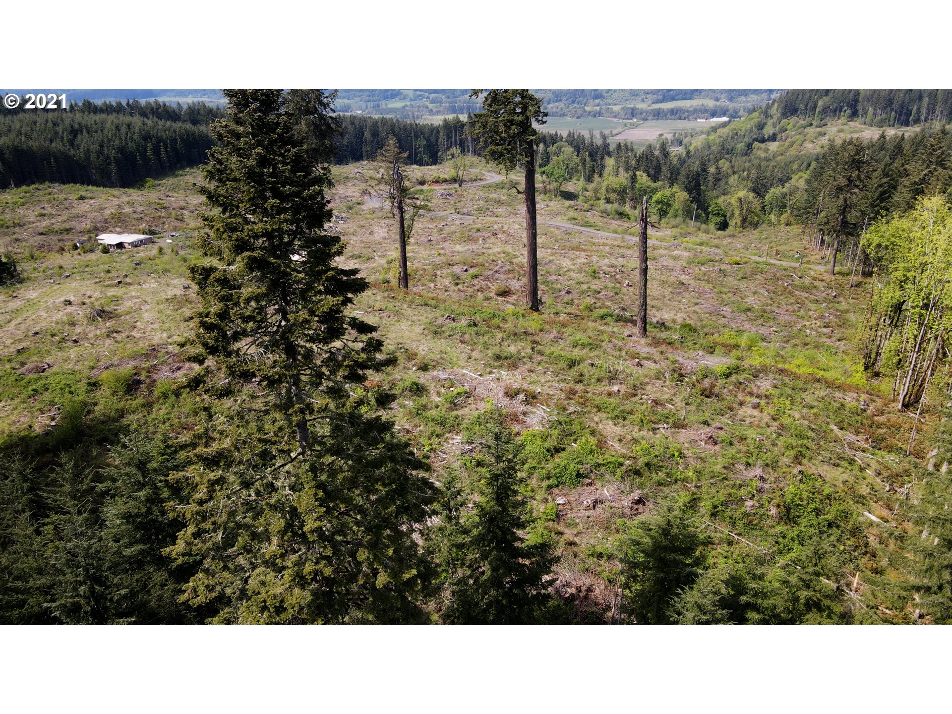 41116 Rodgers Mountain Loop Property Photo 5