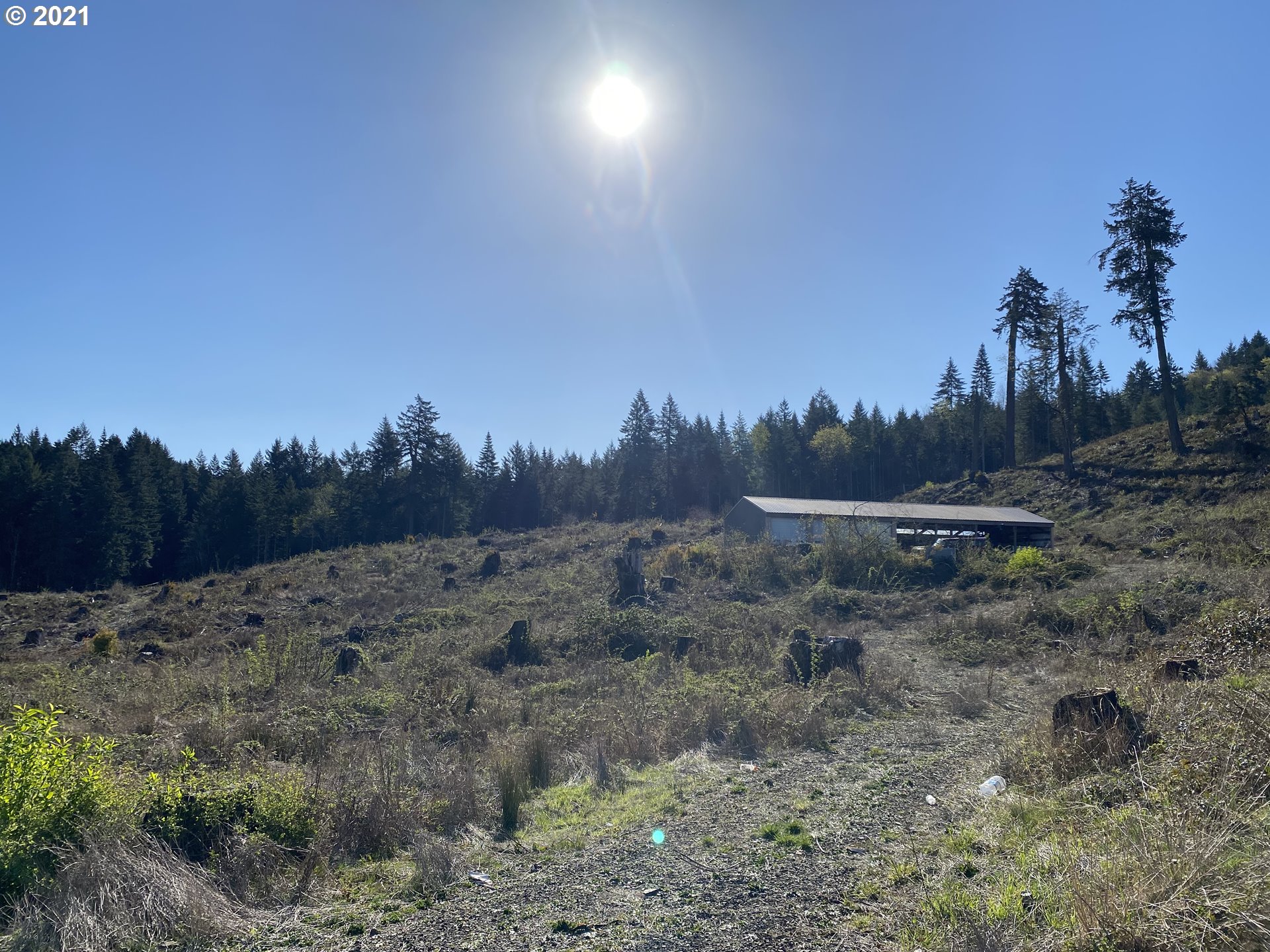 41116 Rodgers Mountain Loop Property Photo 6