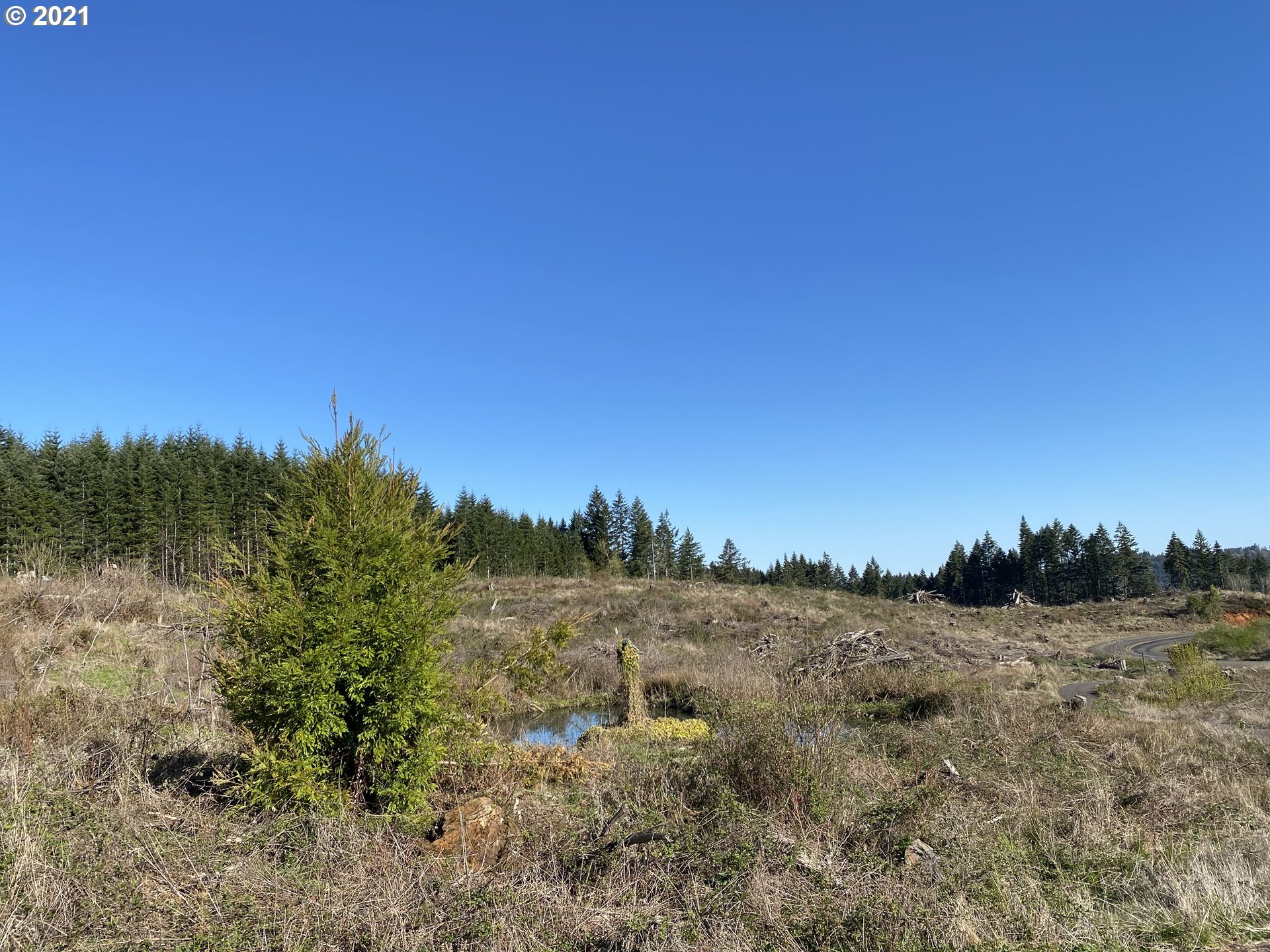 41116 Rodgers Mountain Loop Property Photo 7