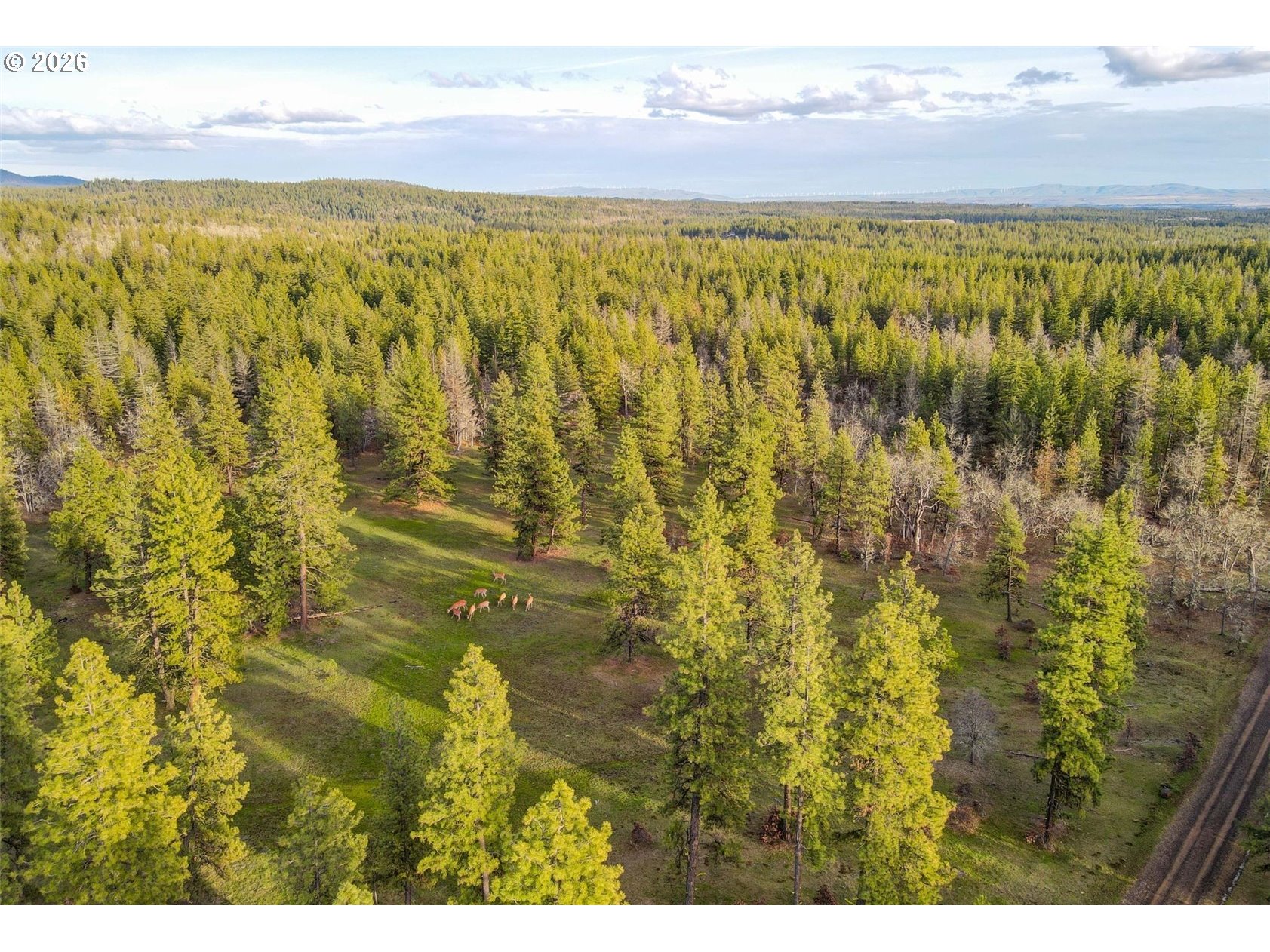 0 Lot 15 Greyback Mt RD Property Photo 1