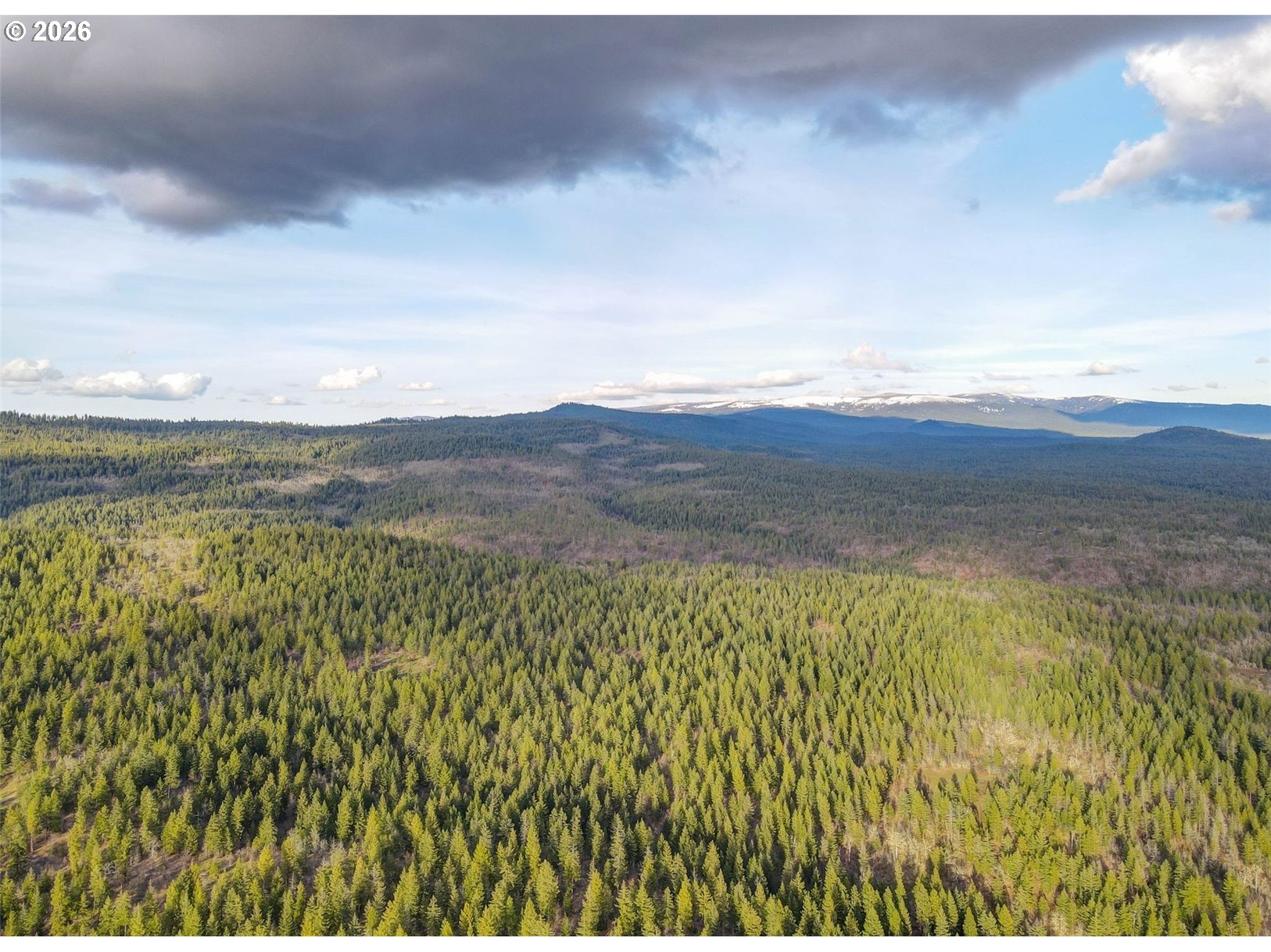 0 Lot 15 Greyback Mt Rd Property Photo 2