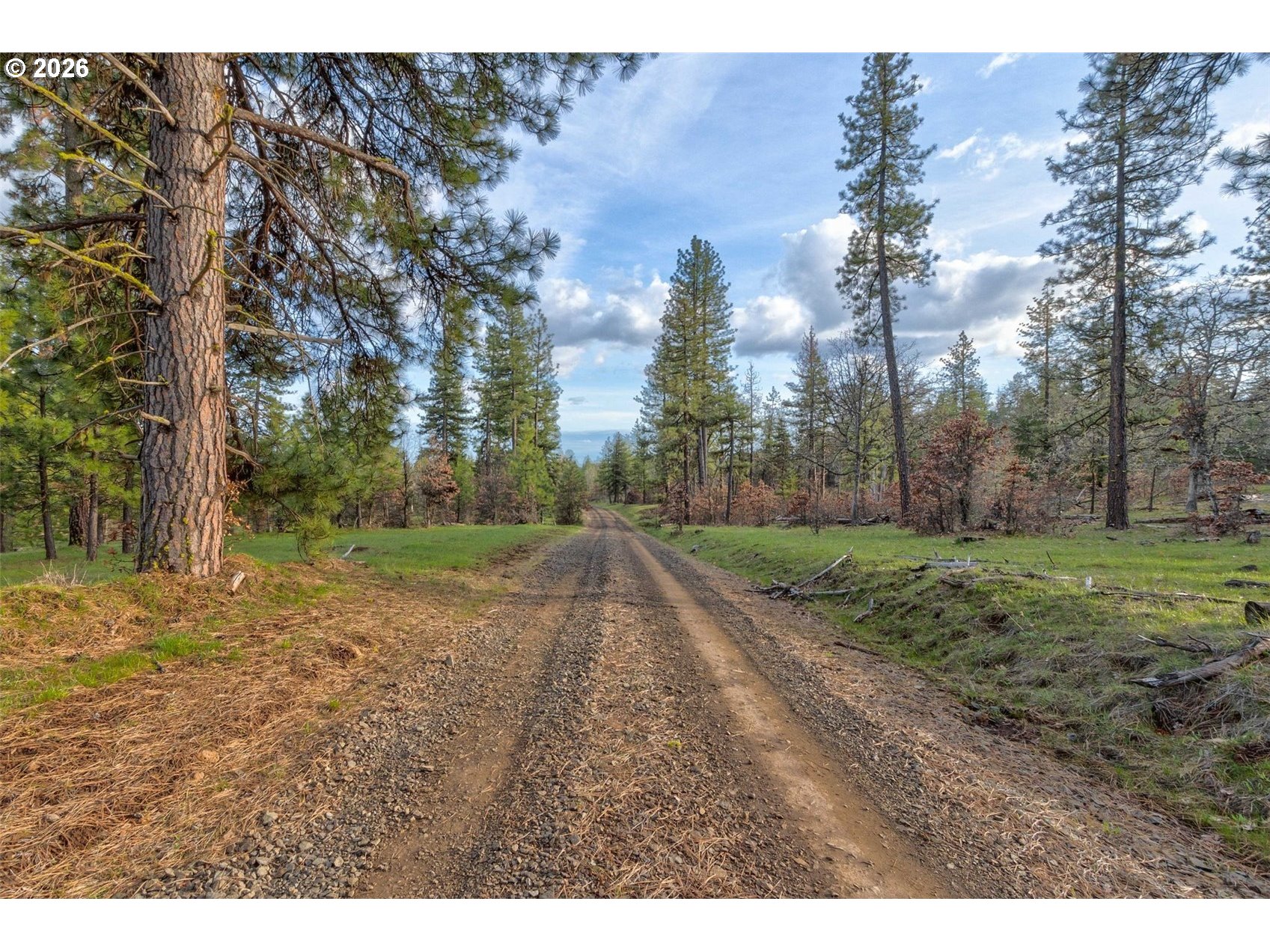 0 Lot 15 Greyback Mt Rd Property Photo 3