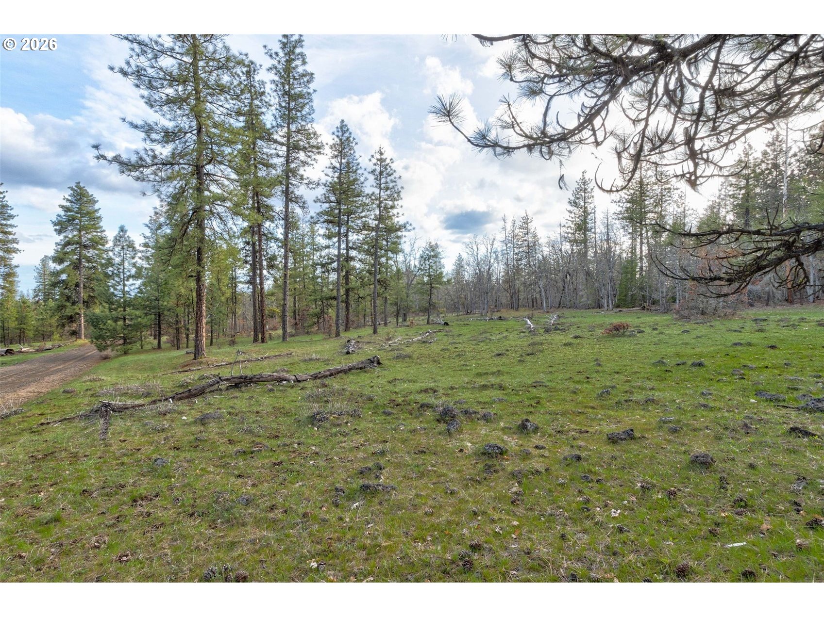 0 Lot 15 Greyback Mt Rd Property Photo 4