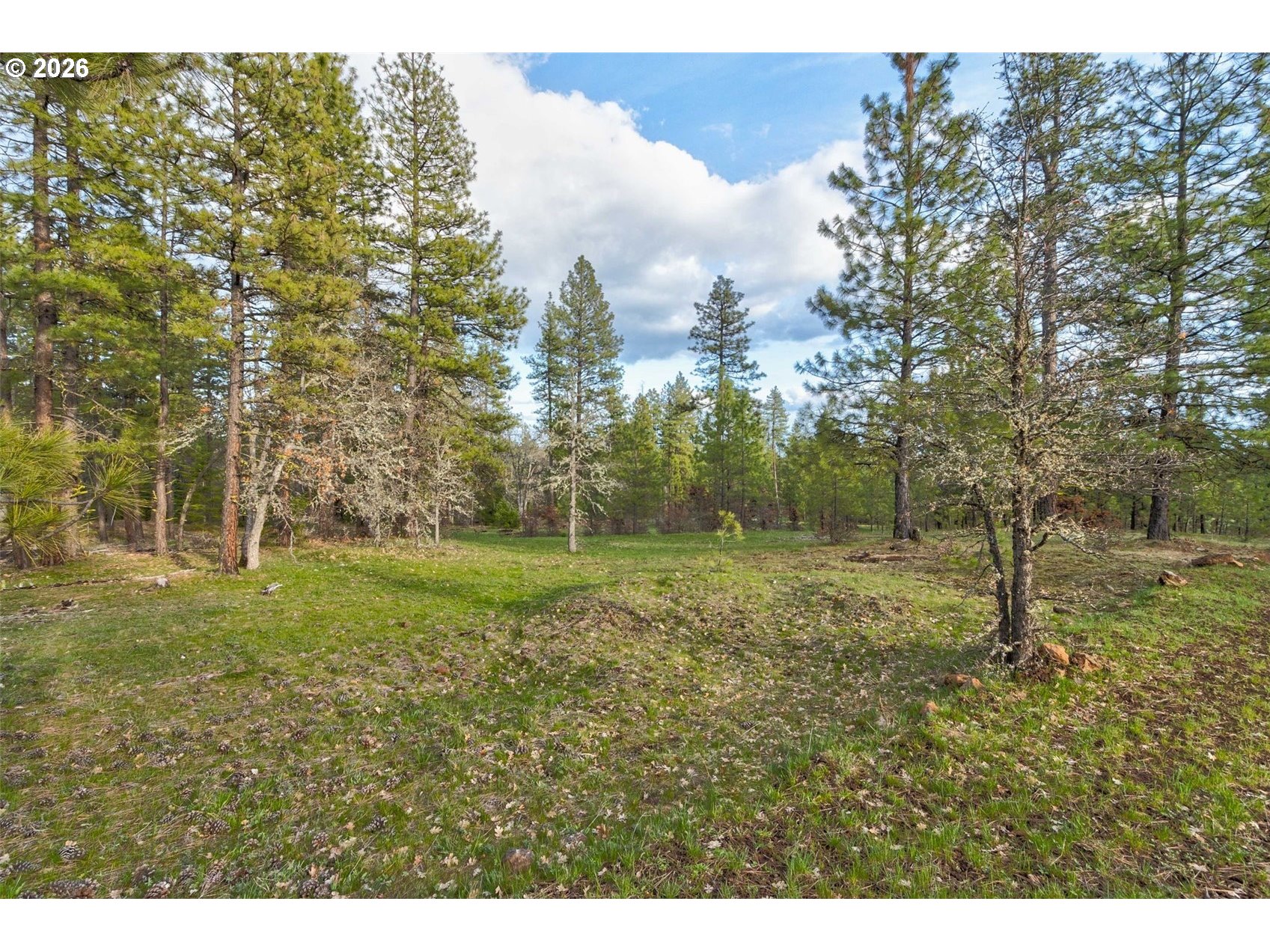 0 Lot 15 Greyback Mt Rd Property Photo 5