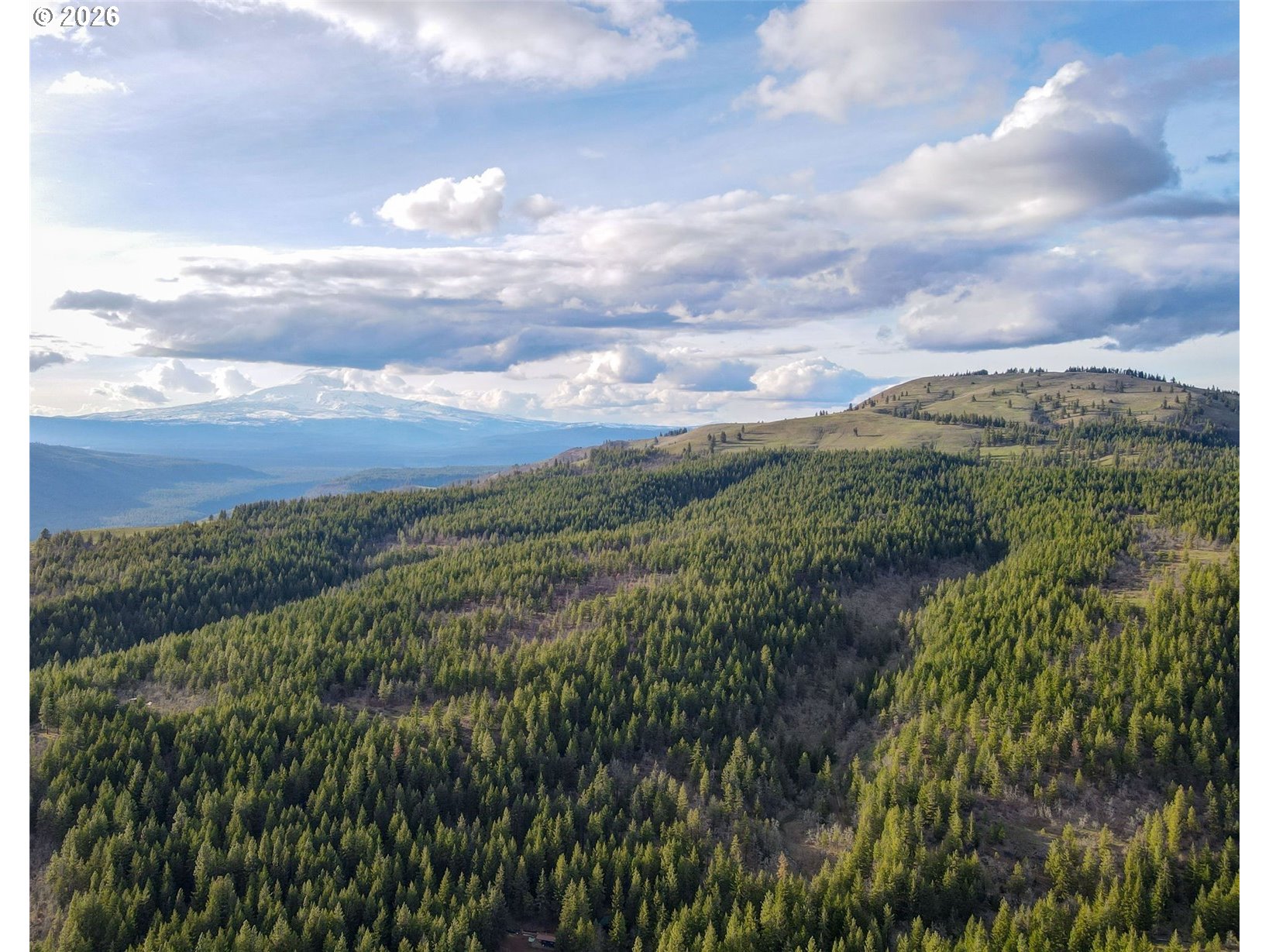 0 Lot 15 Greyback Mt Rd Property Photo 6