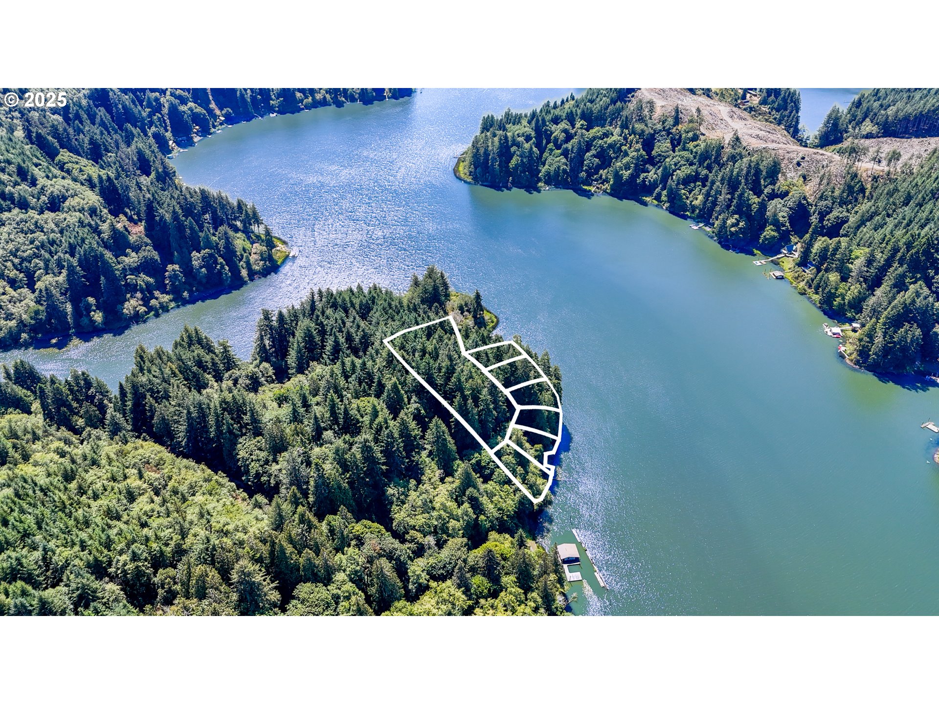0 Tenmile Lake Property Photo 1