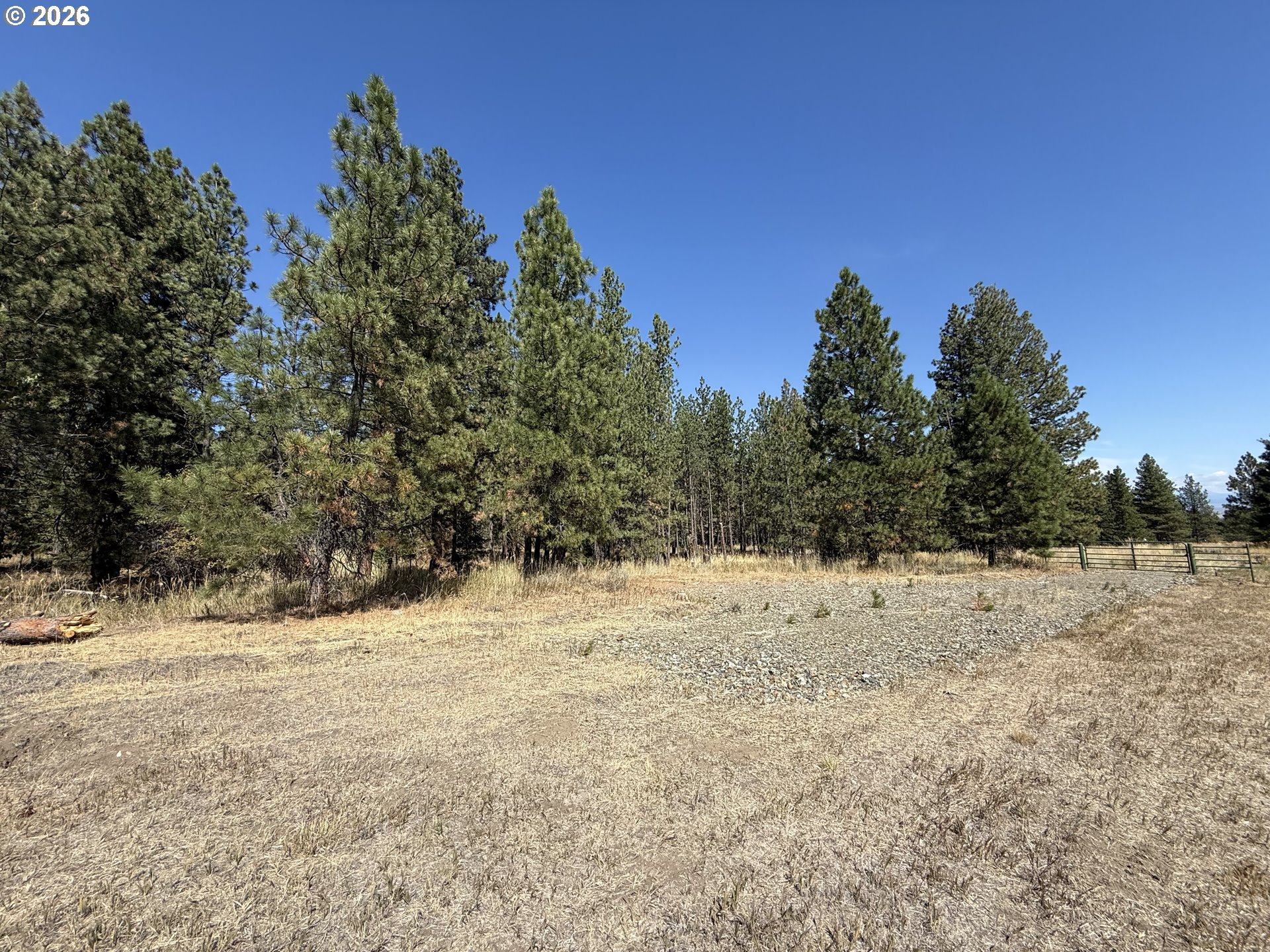 13735 Red Fox Ln Property Photo 3