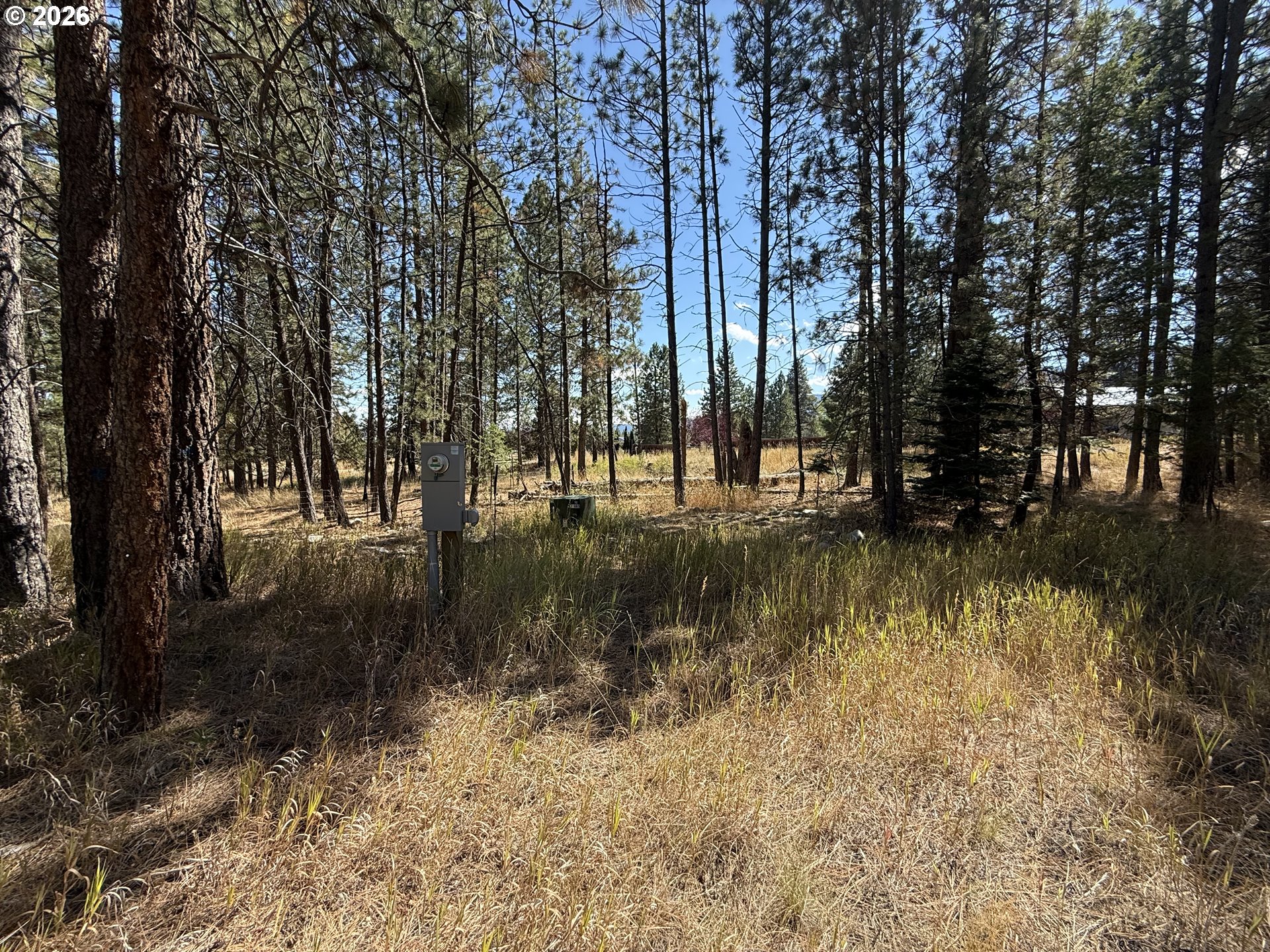 13735 Red Fox Ln Property Photo 6