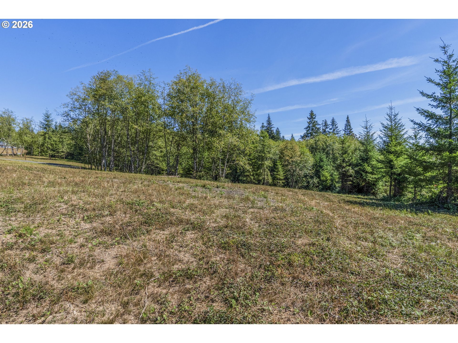 0 Old Tree Farm Dr D Property Photo 3