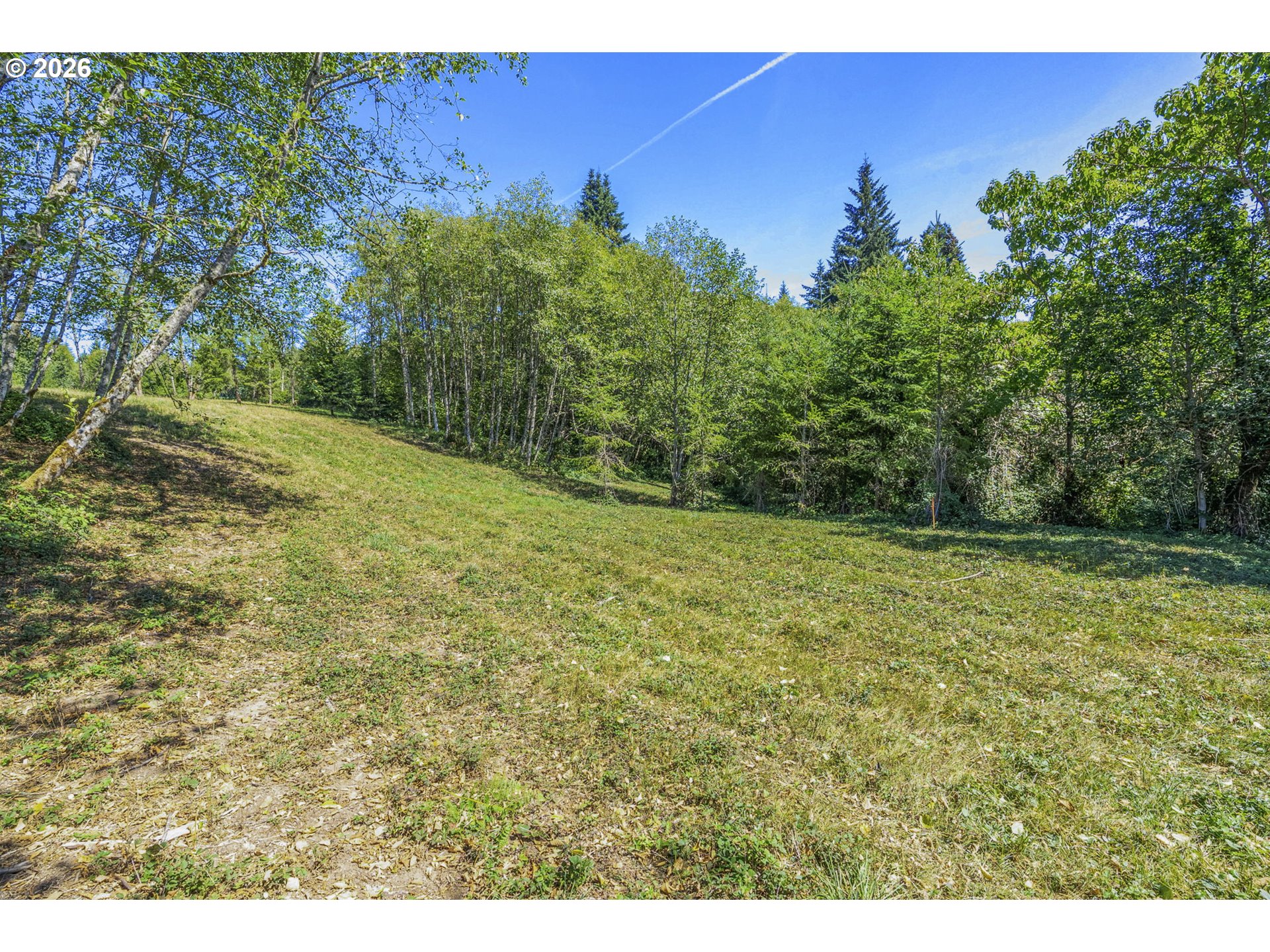 0 Old Tree Farm Dr D Property Photo 7