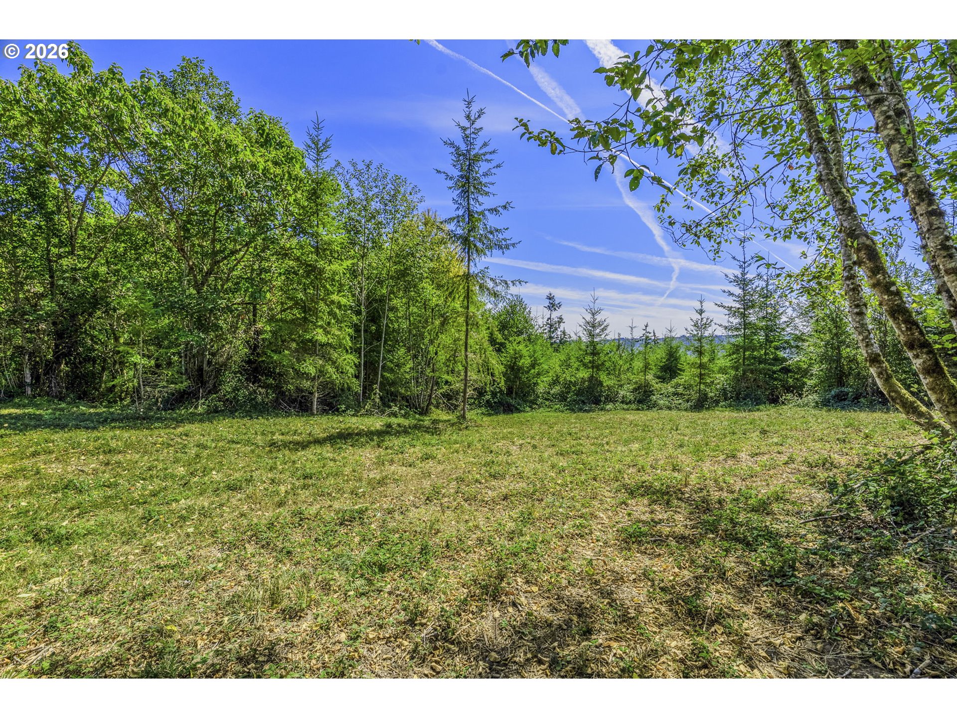 0 Old Tree Farm Dr D Property Photo 8