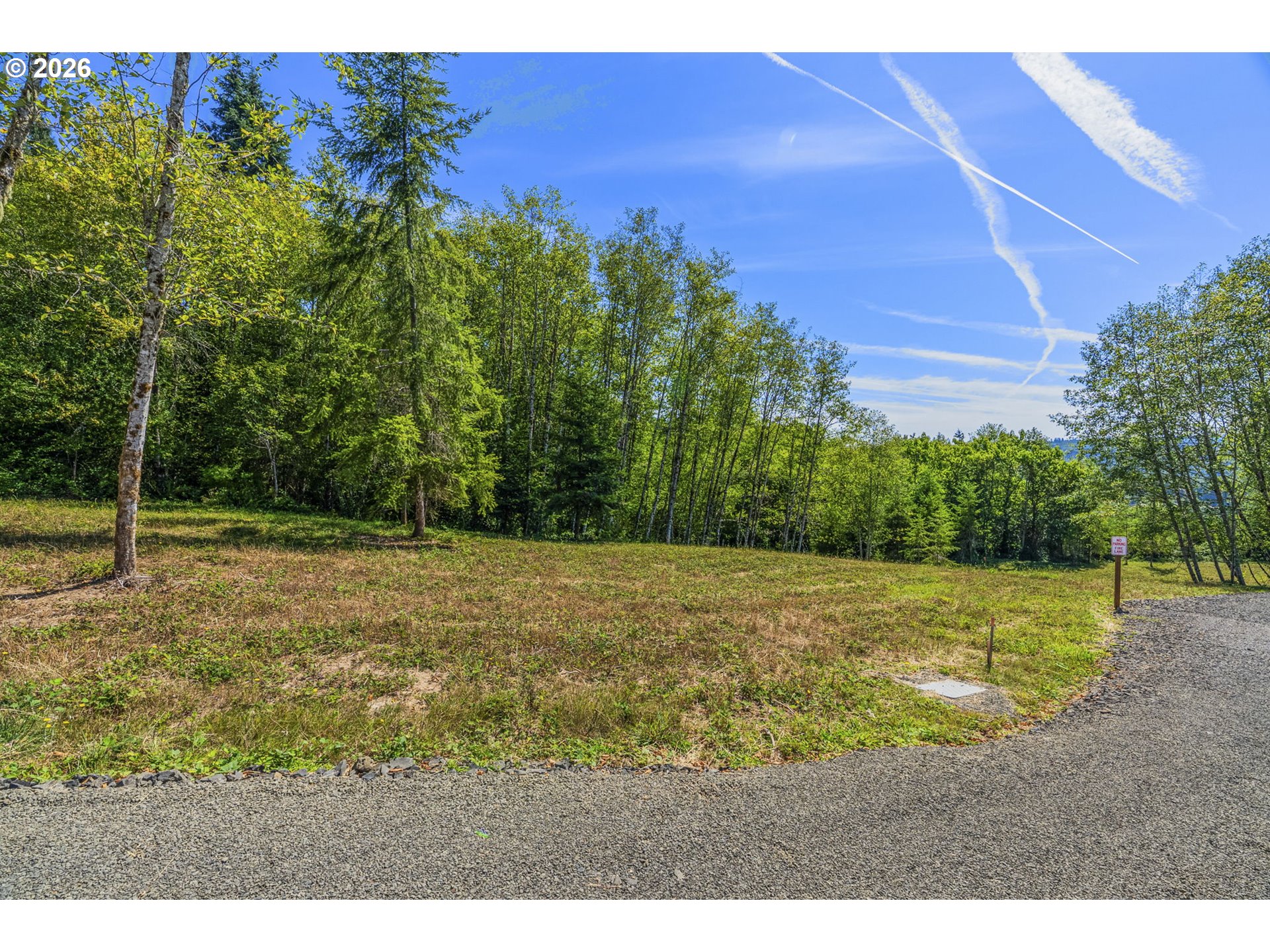0 Old Tree Farm Dr D Property Photo 9