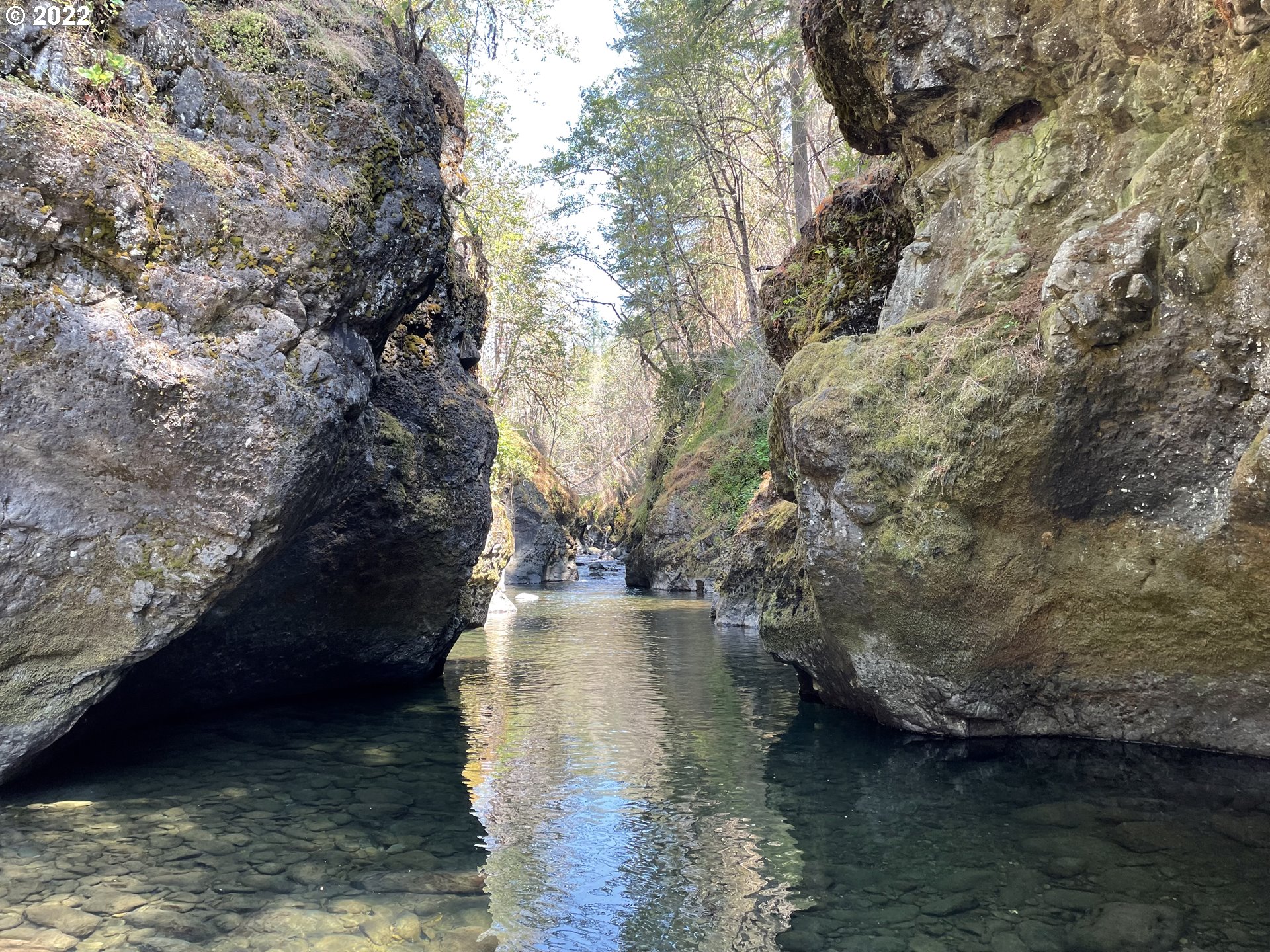 S Fork Molalla Rd Property Photo 2