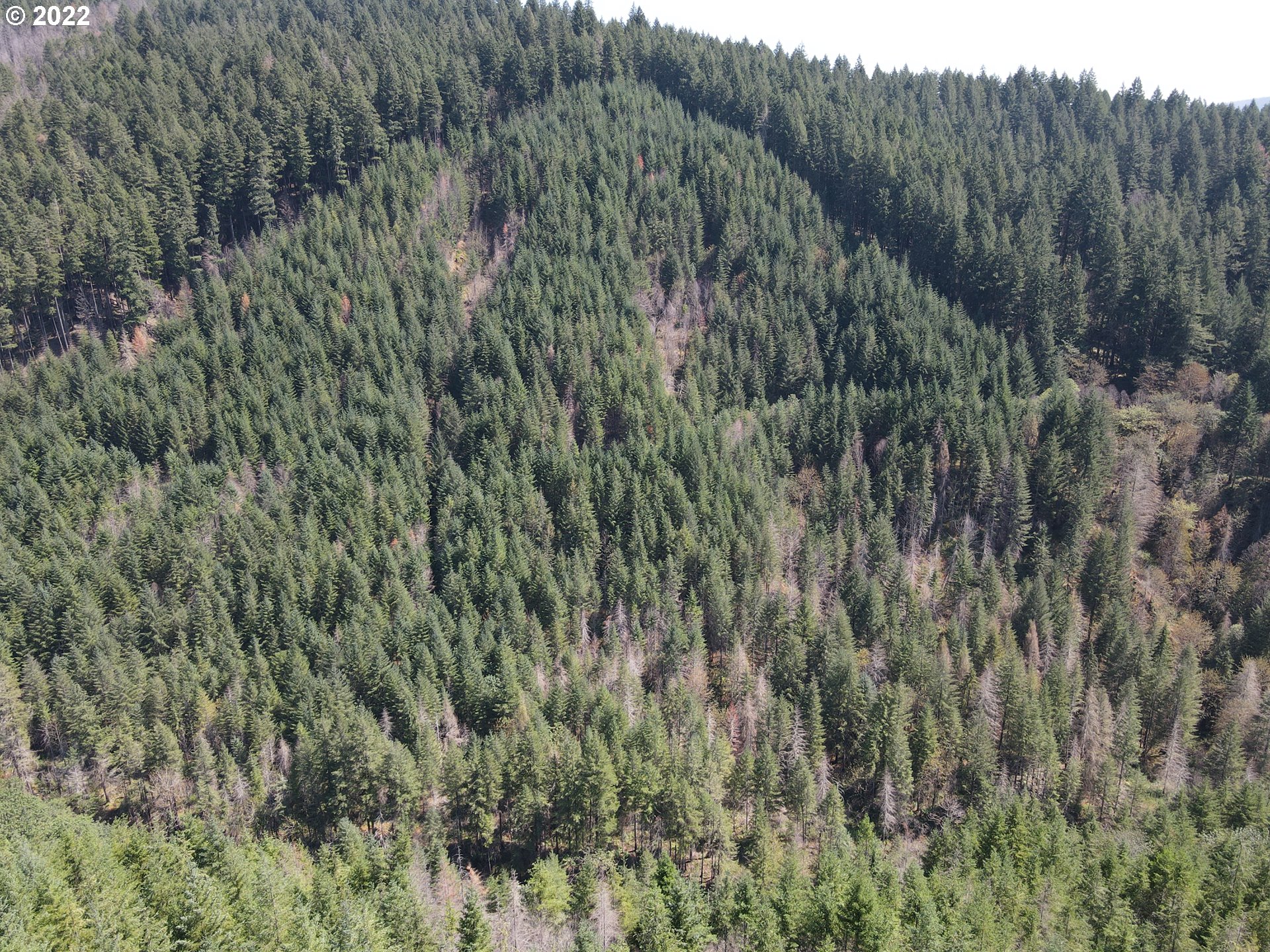 S Fork Molalla Rd Property Photo 4