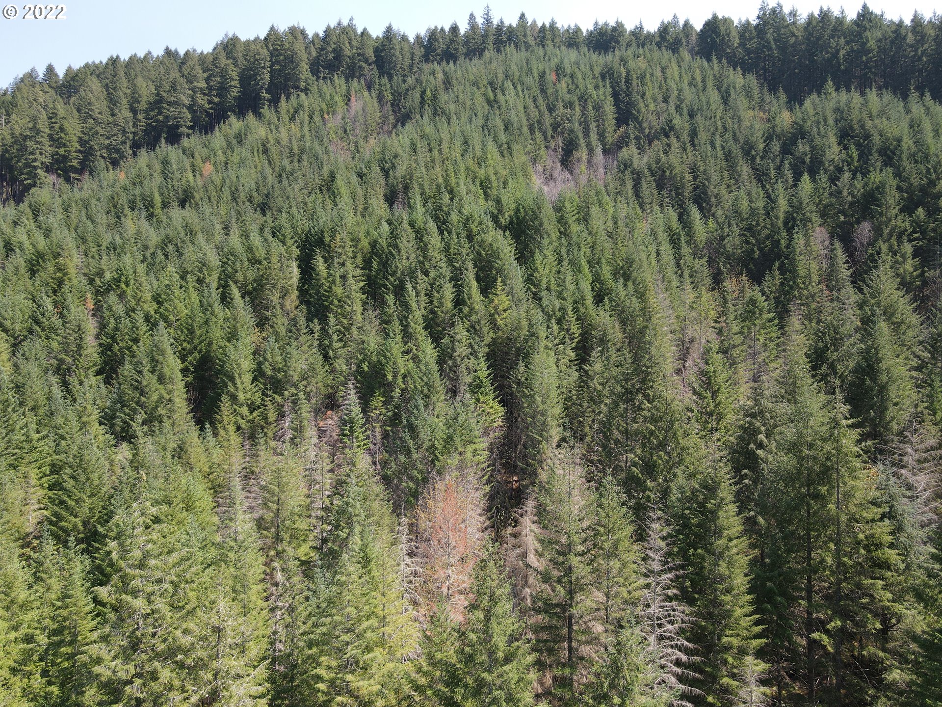 S Fork Molalla Rd Property Photo 6