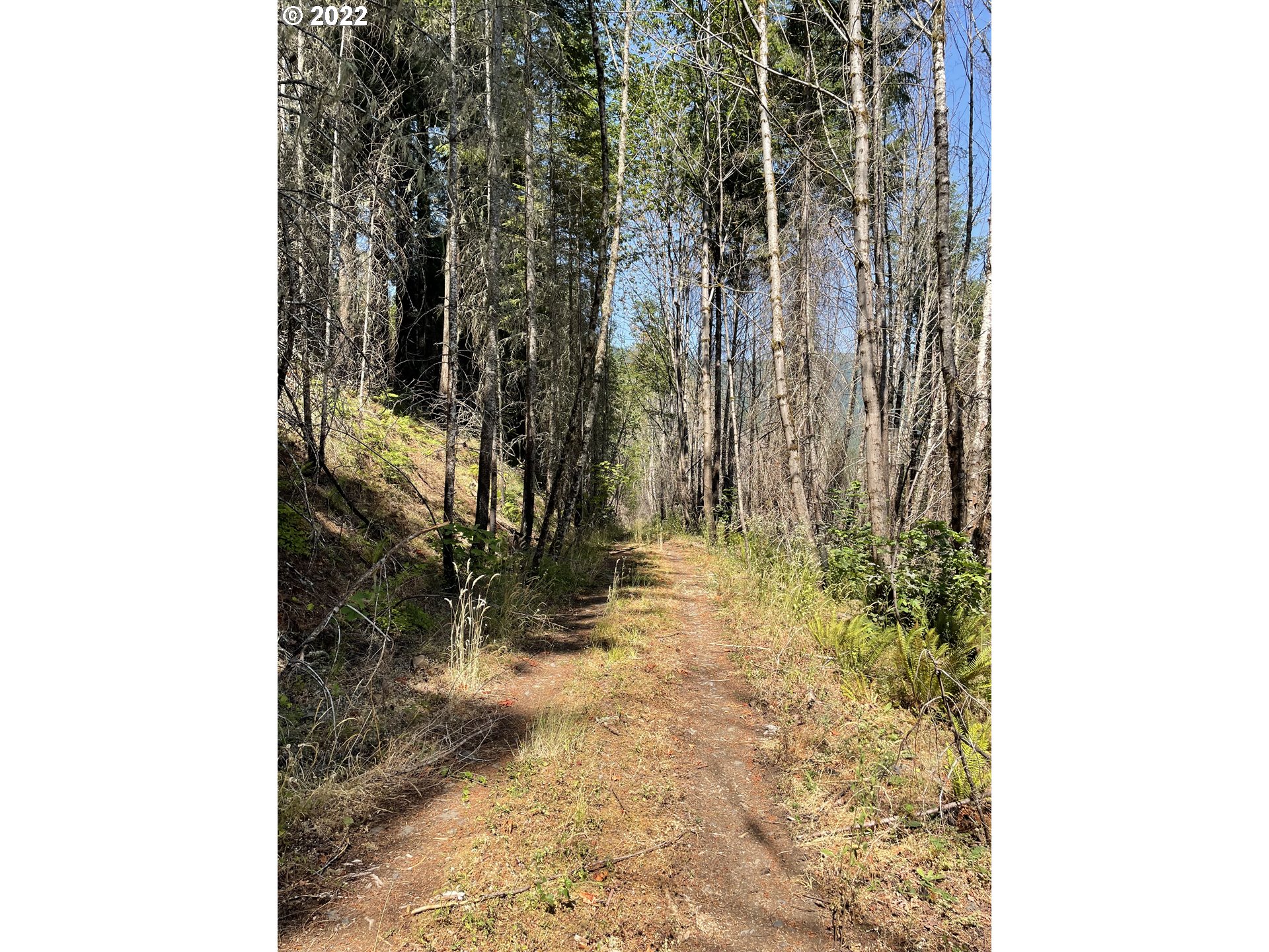 S Fork Molalla Rd Property Photo 12