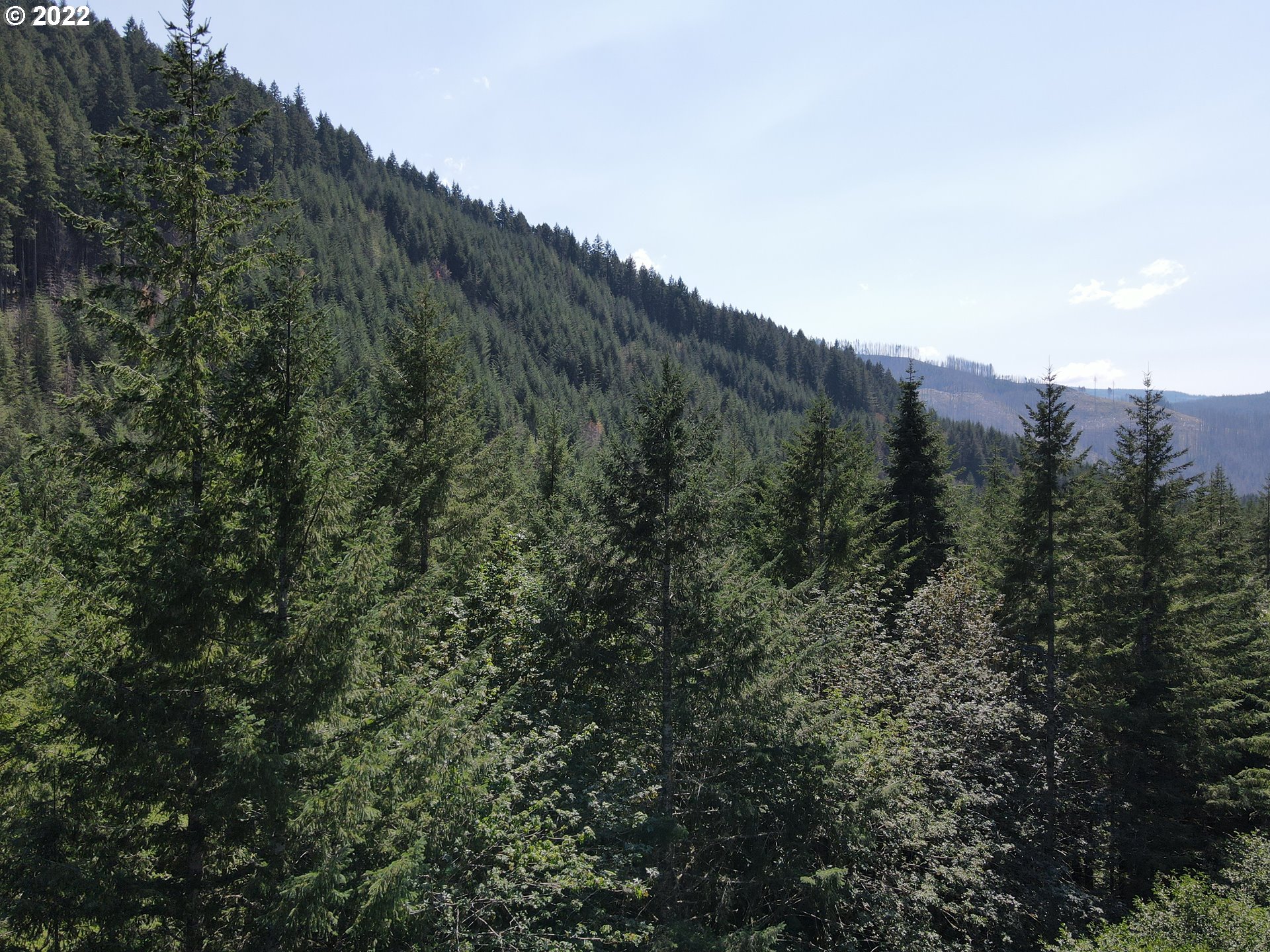 S Fork Molalla Rd Property Photo 13