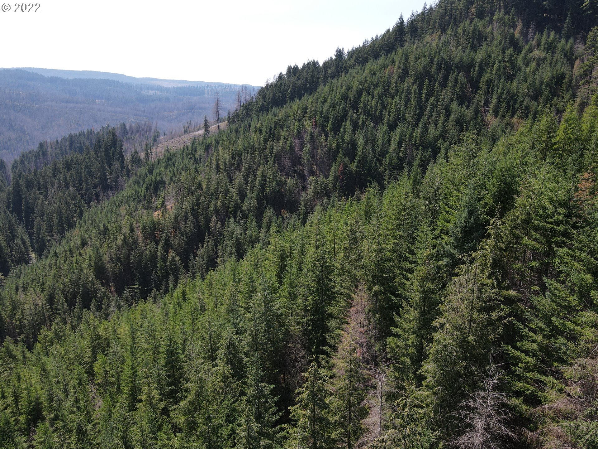 S Fork Molalla Rd Property Photo 14