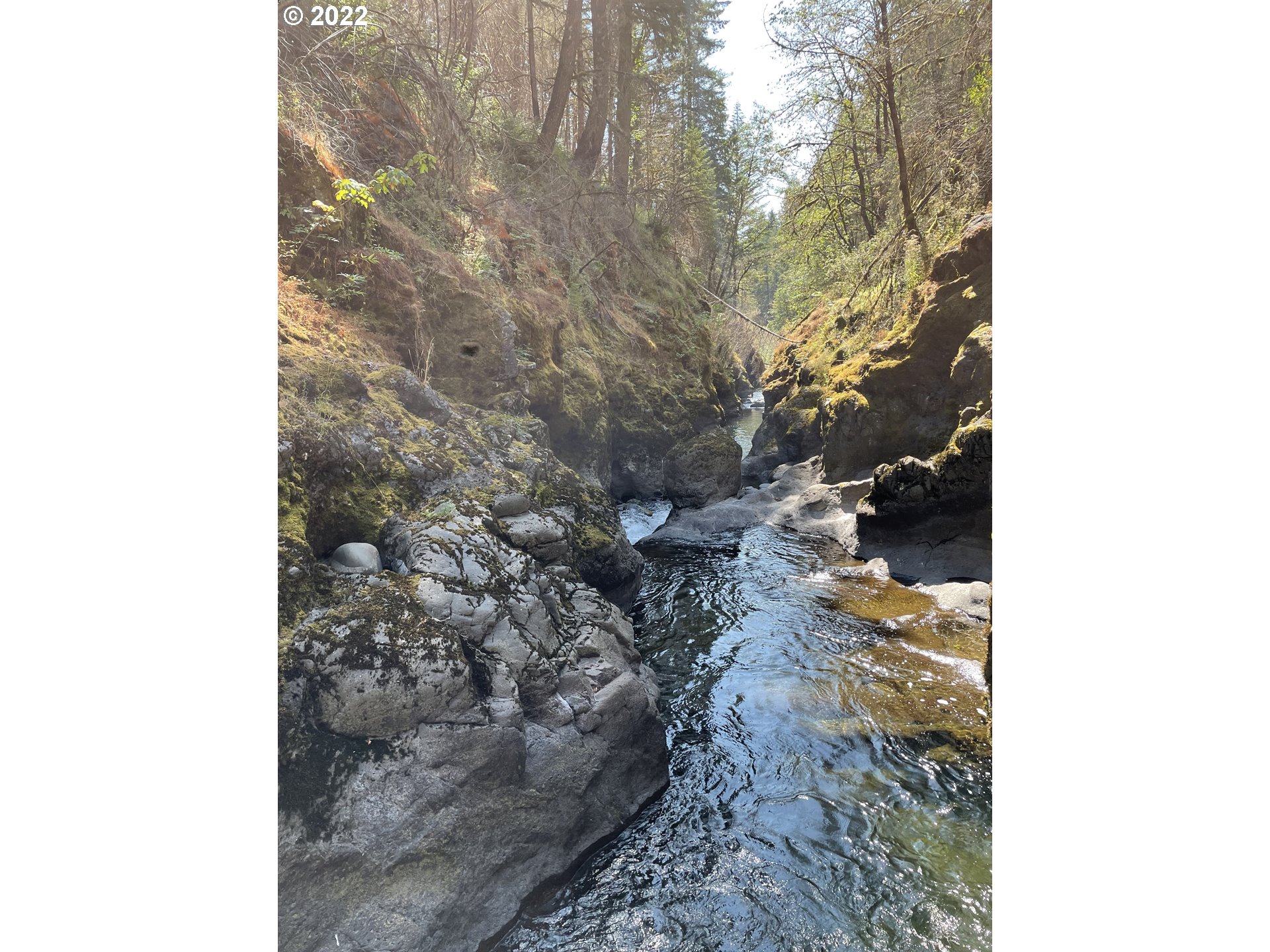 S Fork Molalla Rd Property Photo 15