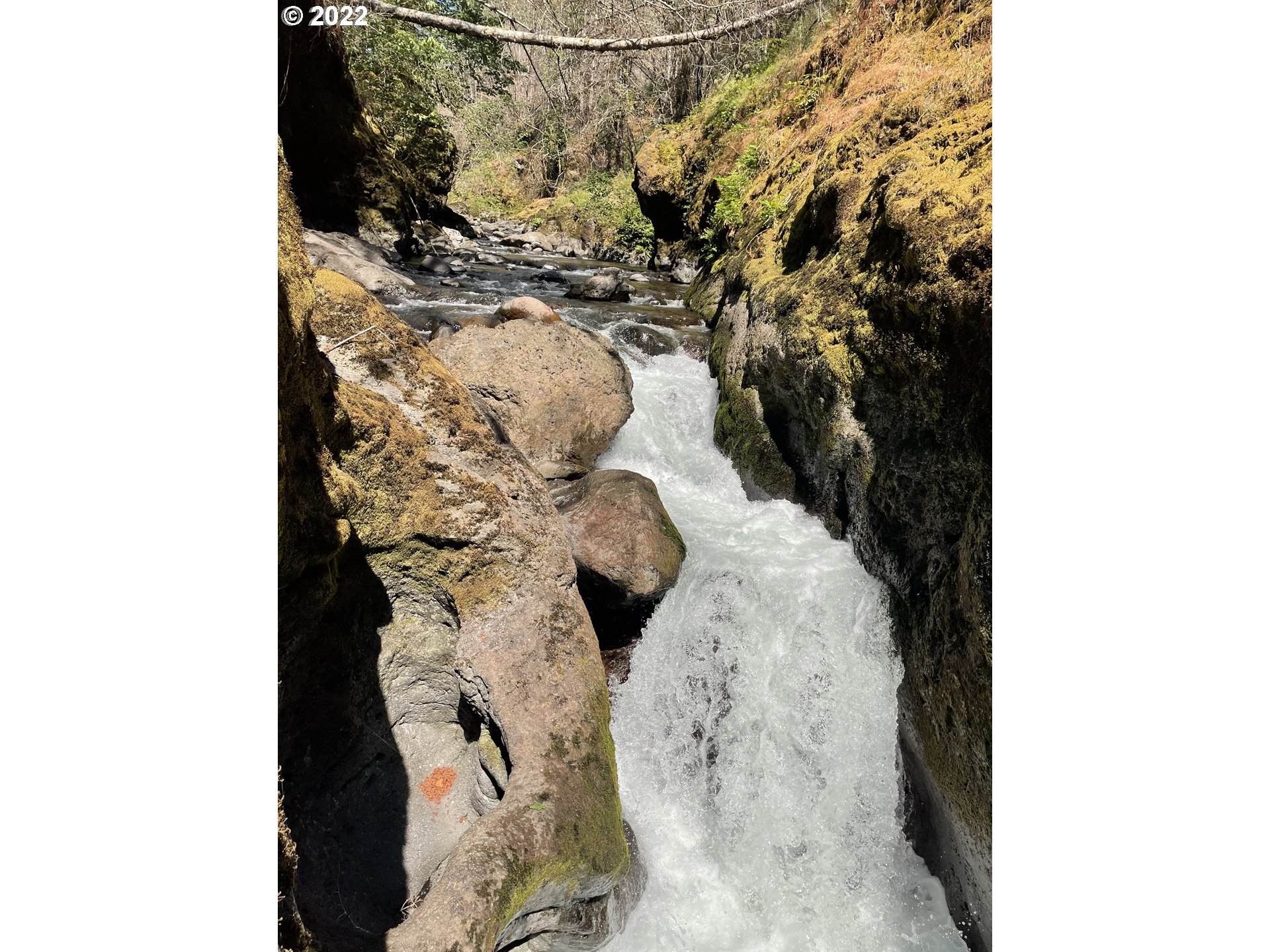 S Fork Molalla Rd Property Photo 16
