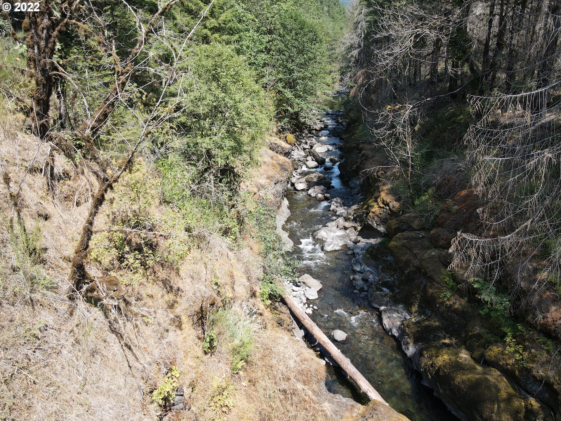 S Fork Molalla Rd Property Photo 17