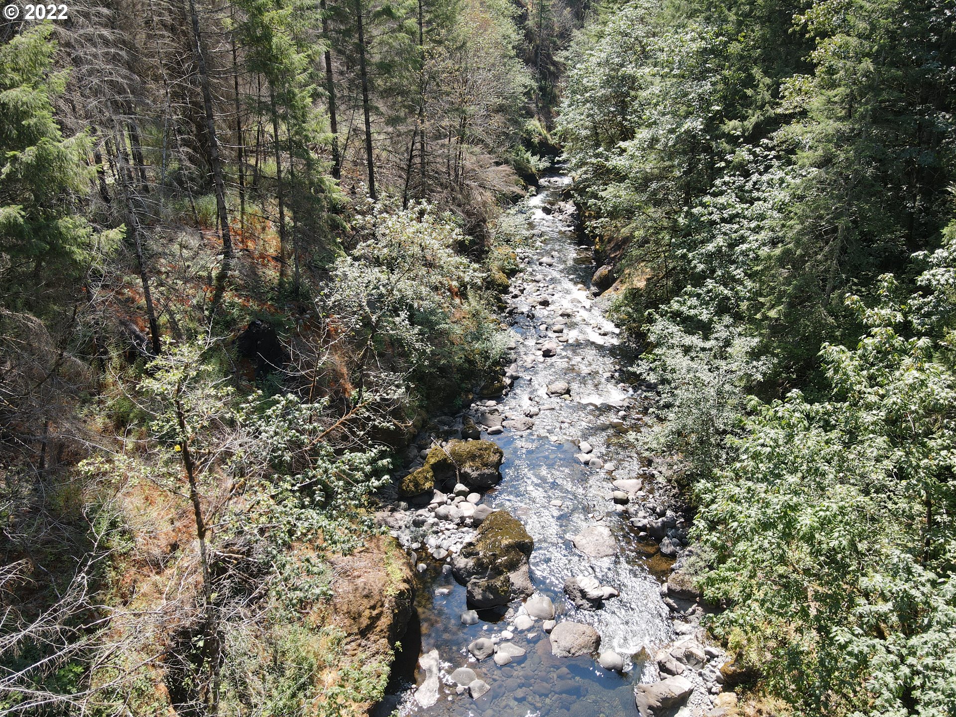 S Fork Molalla Rd Property Photo 18