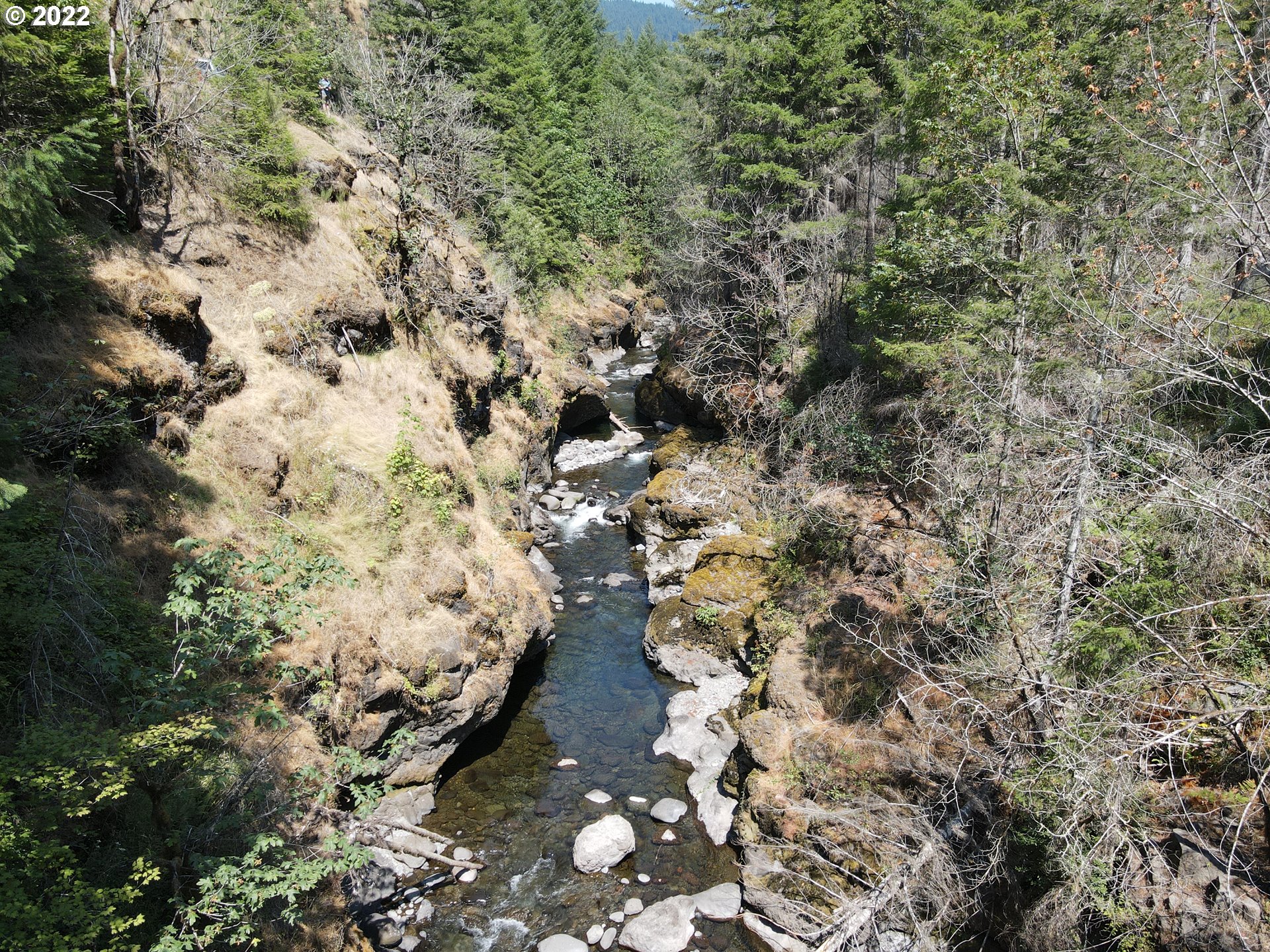 S Fork Molalla Rd Property Photo 19