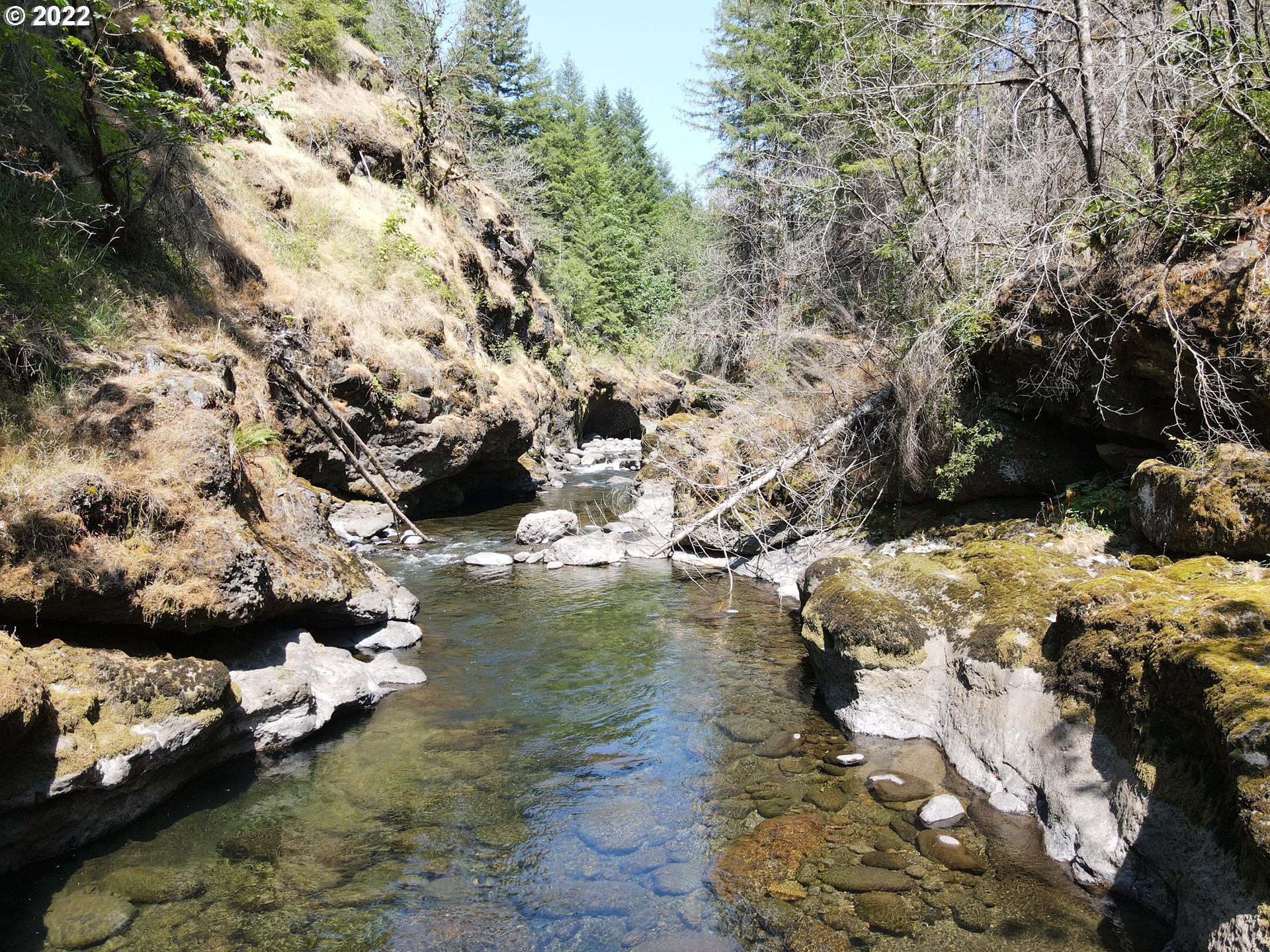 S Fork Molalla Rd Property Photo 20